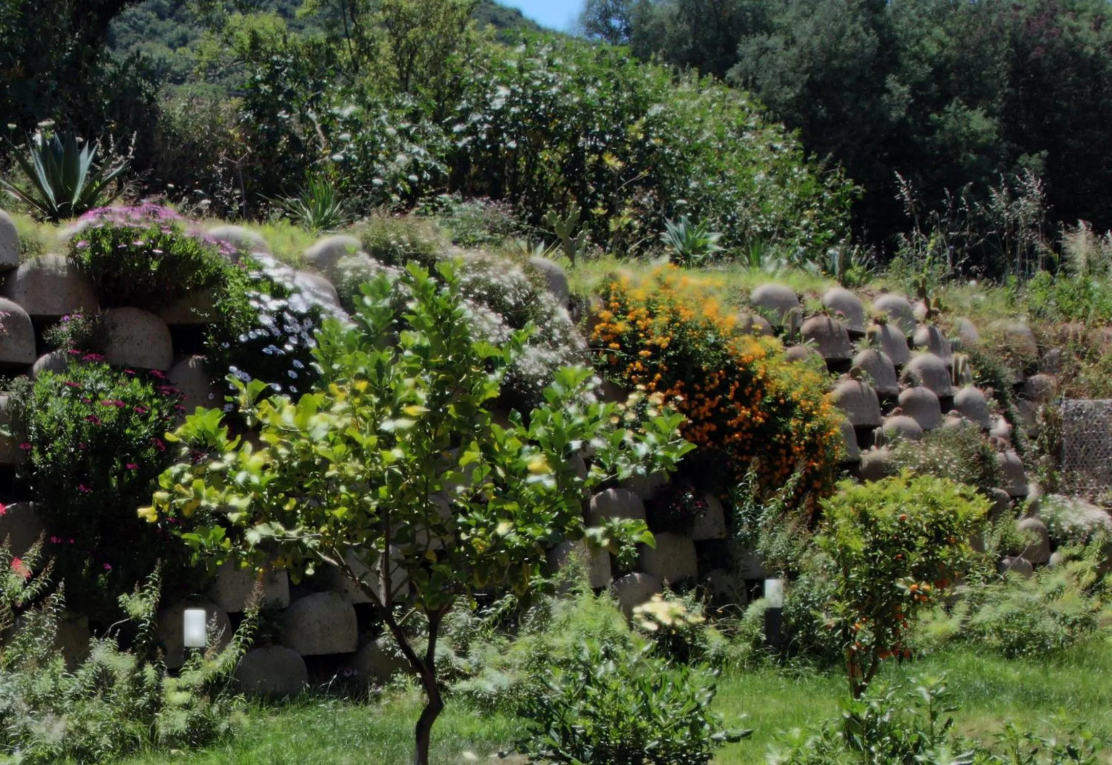 Garden in Residenza RoMa