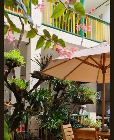 Restaurant/places to eat in Hotel Vegas del Rio