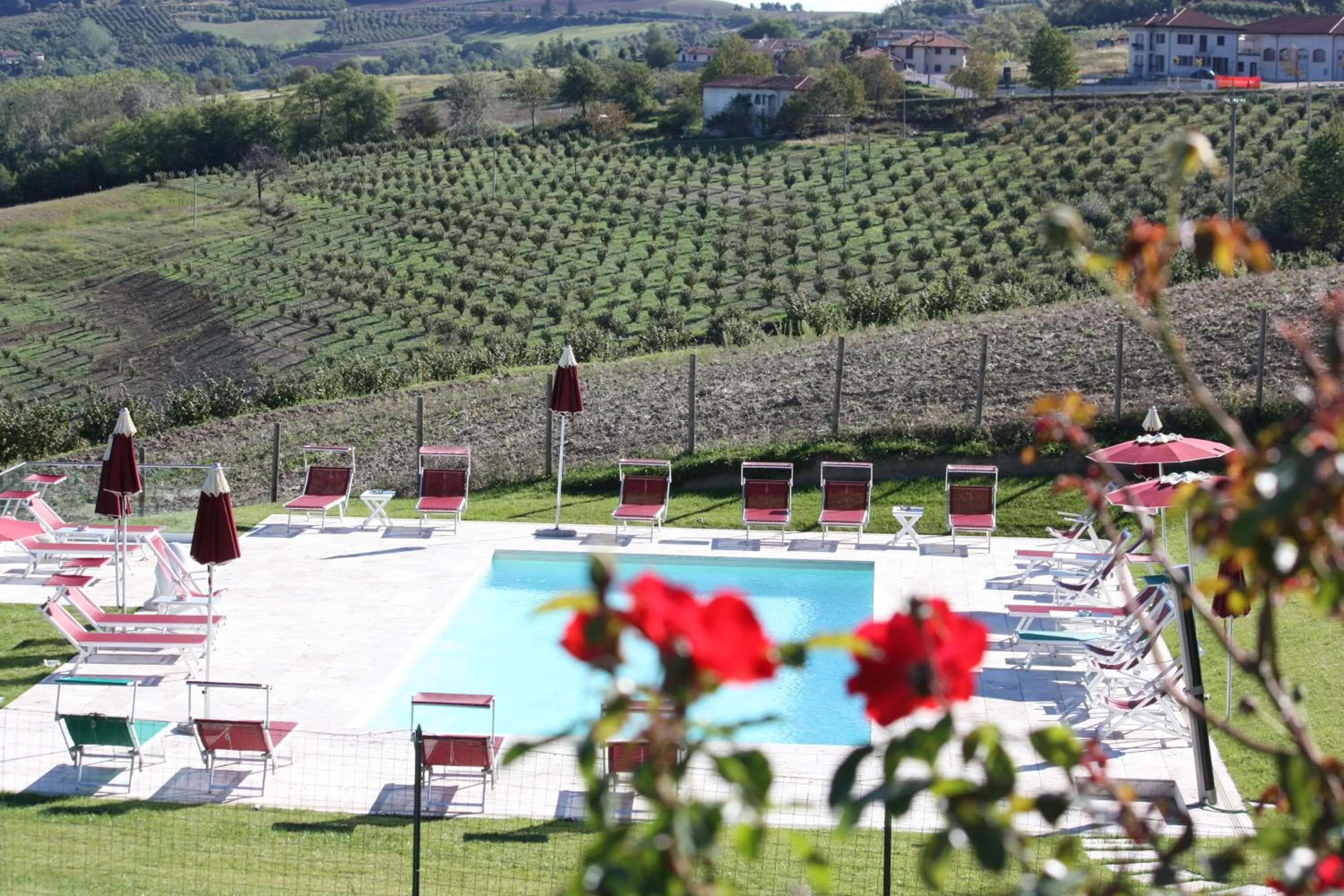 Pool view in Ca' Del Lupo
