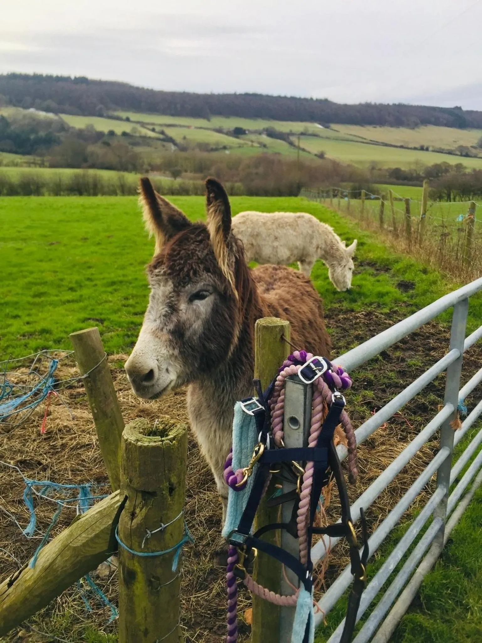 The Grainary Cottages