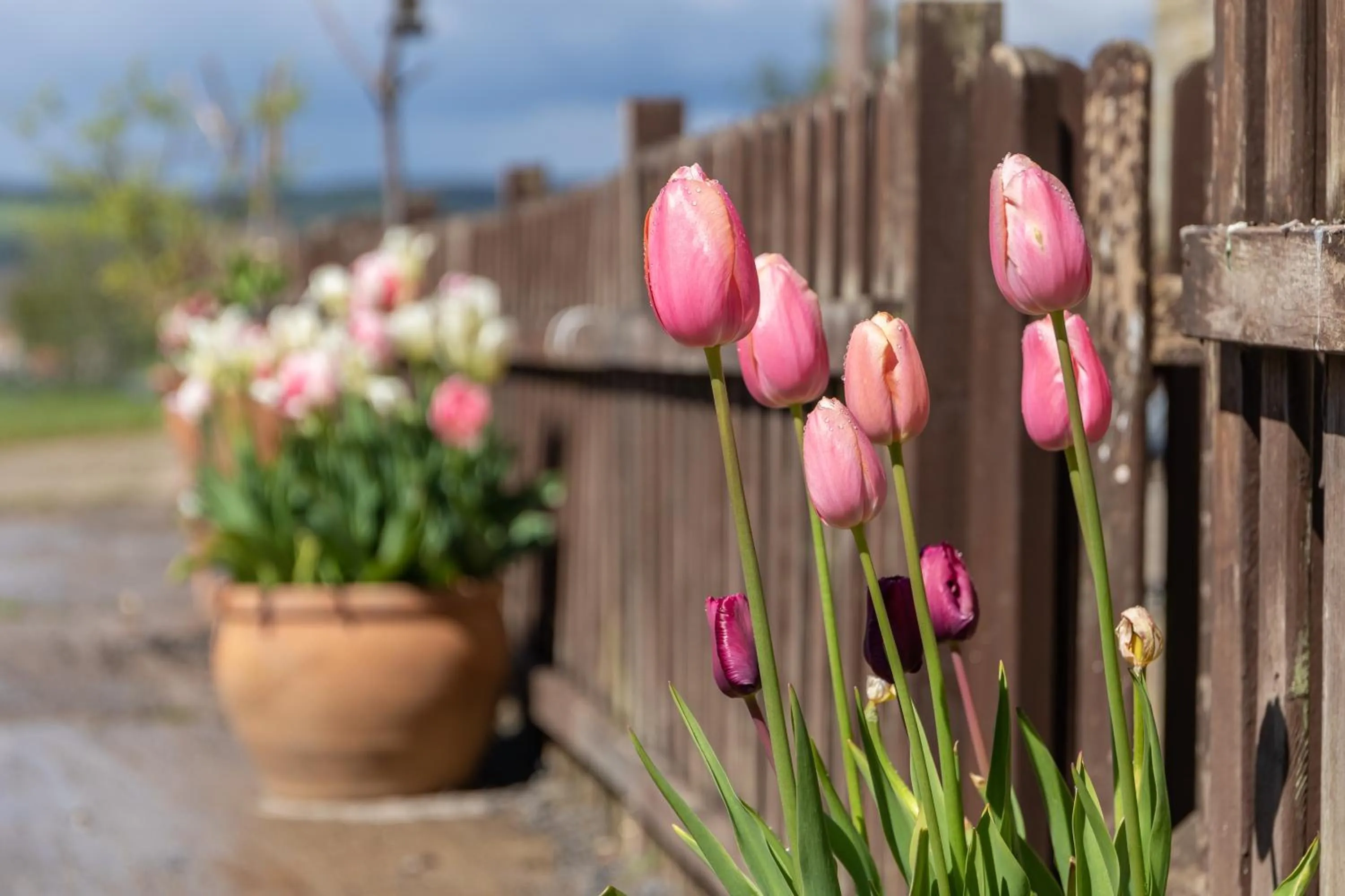 The Grainary Cottages