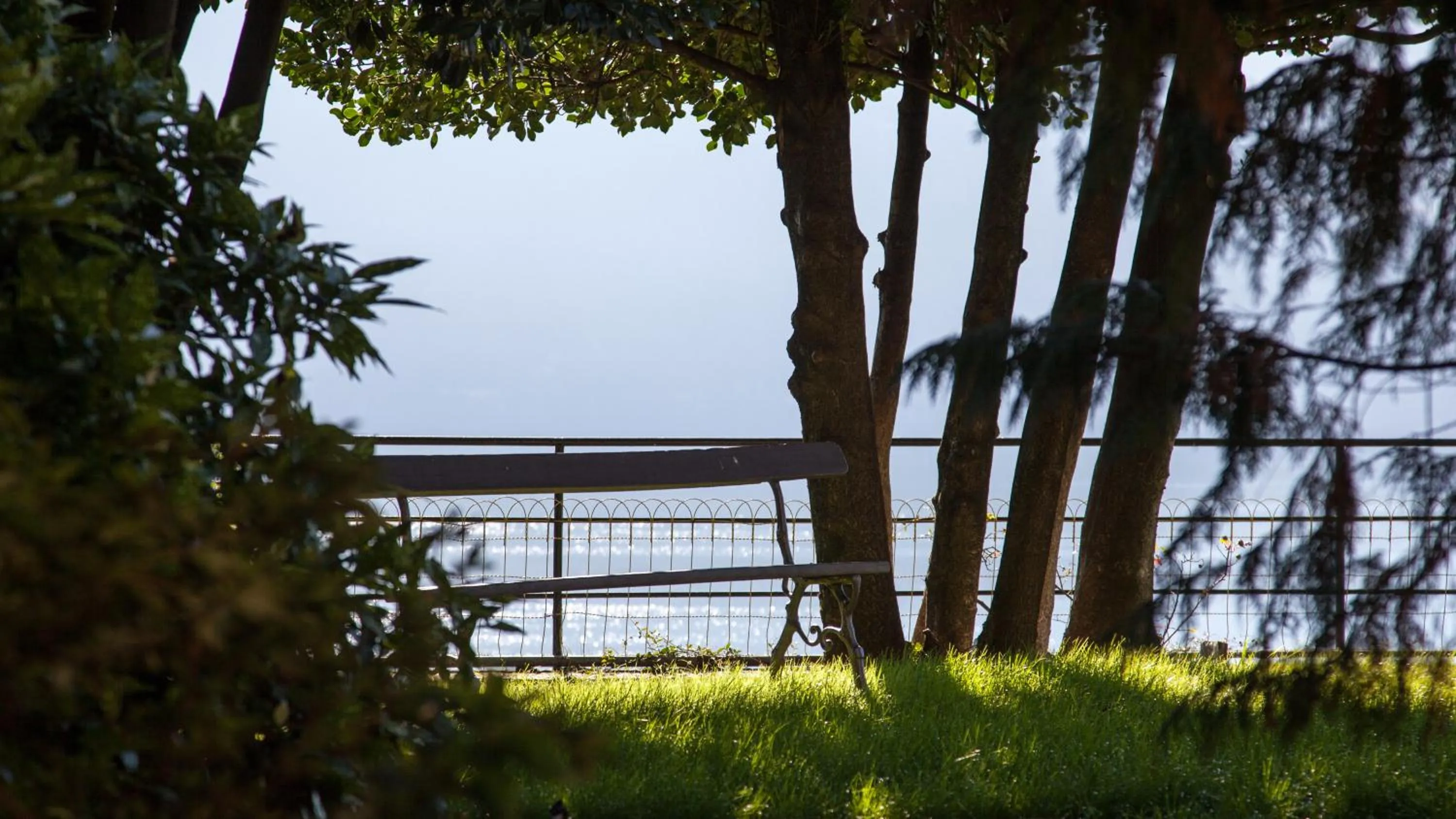 Garden view in Venegoni Maison De Charme