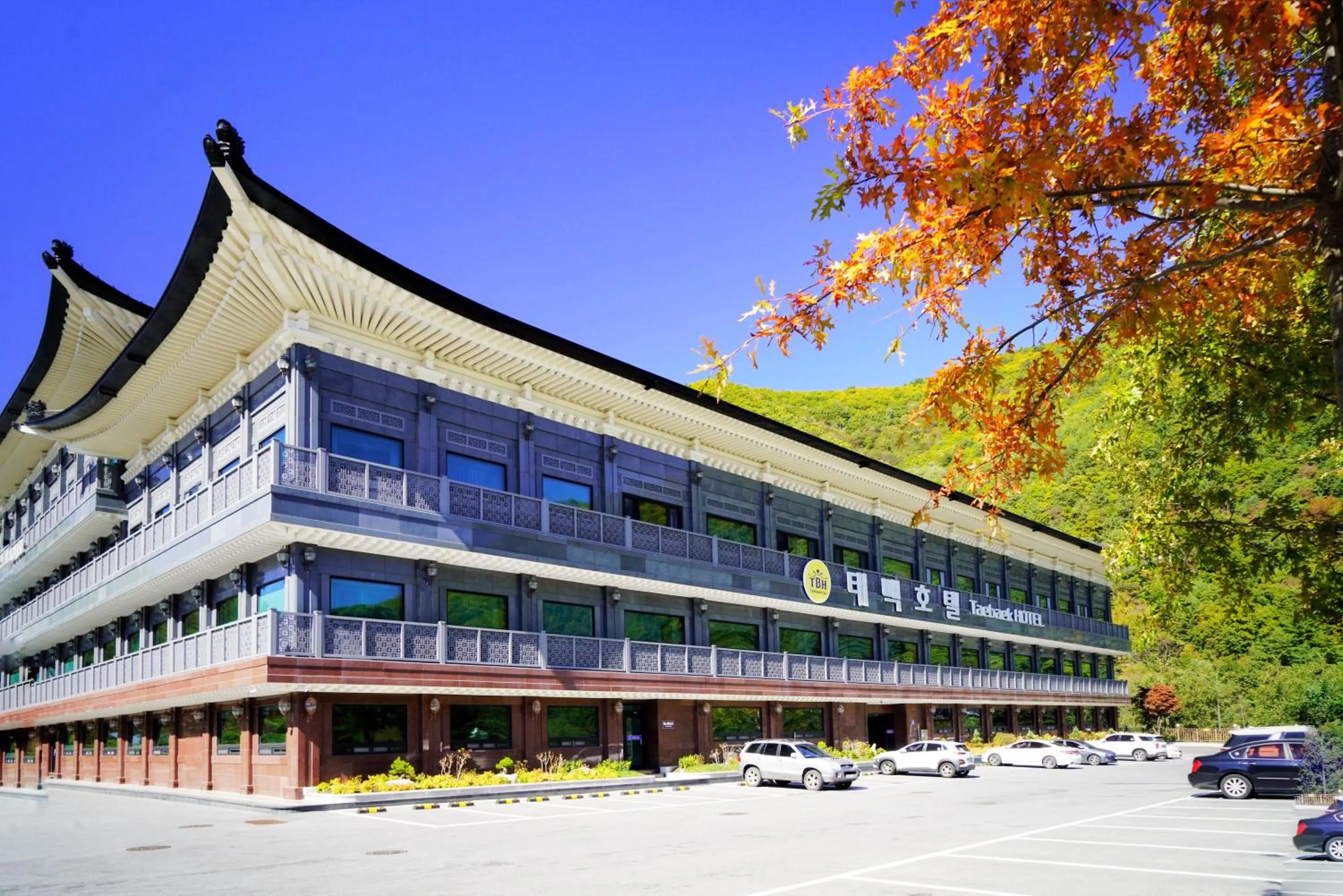 Taebaek Hotel