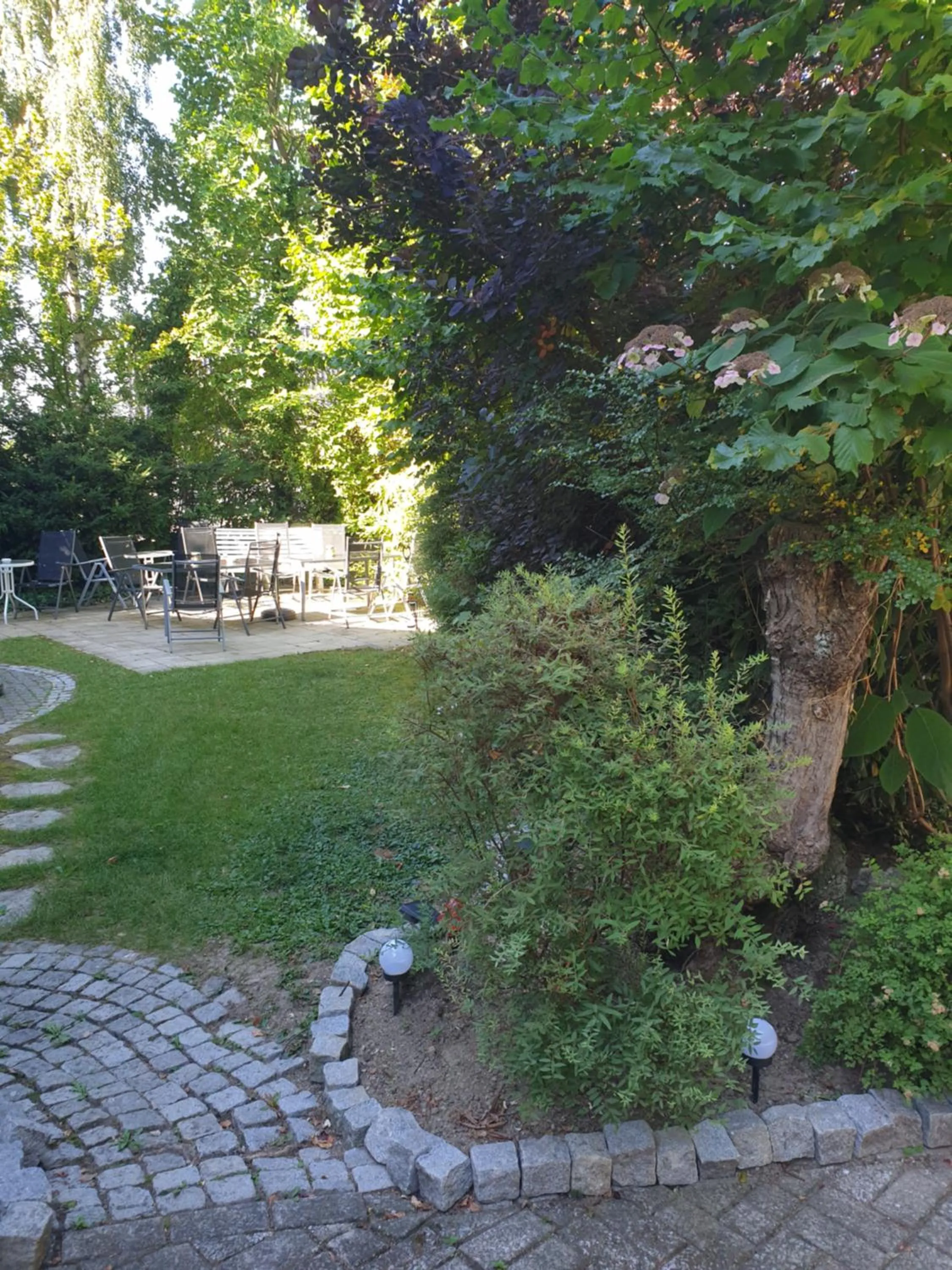Day in Famile Hotel Kameleon