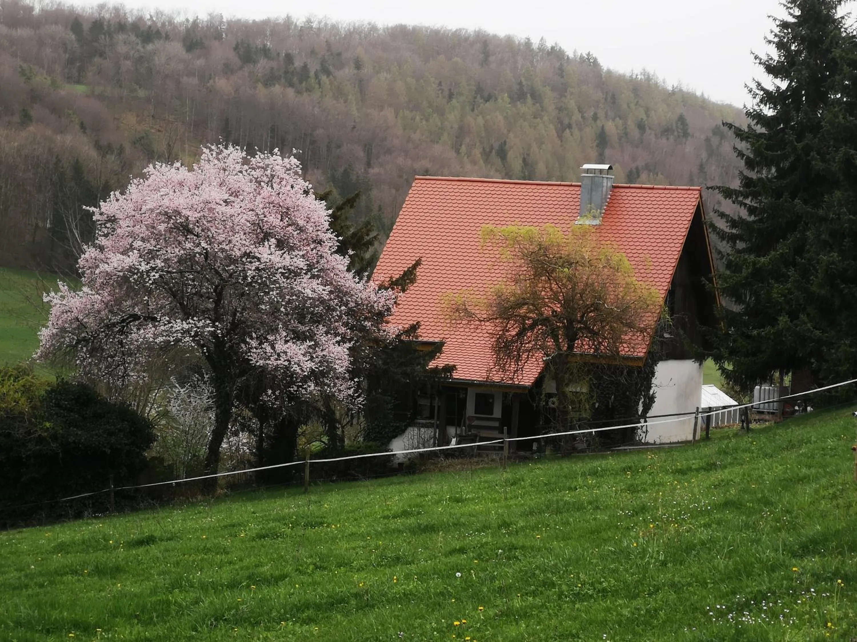 Ferienhaus Aschoff
