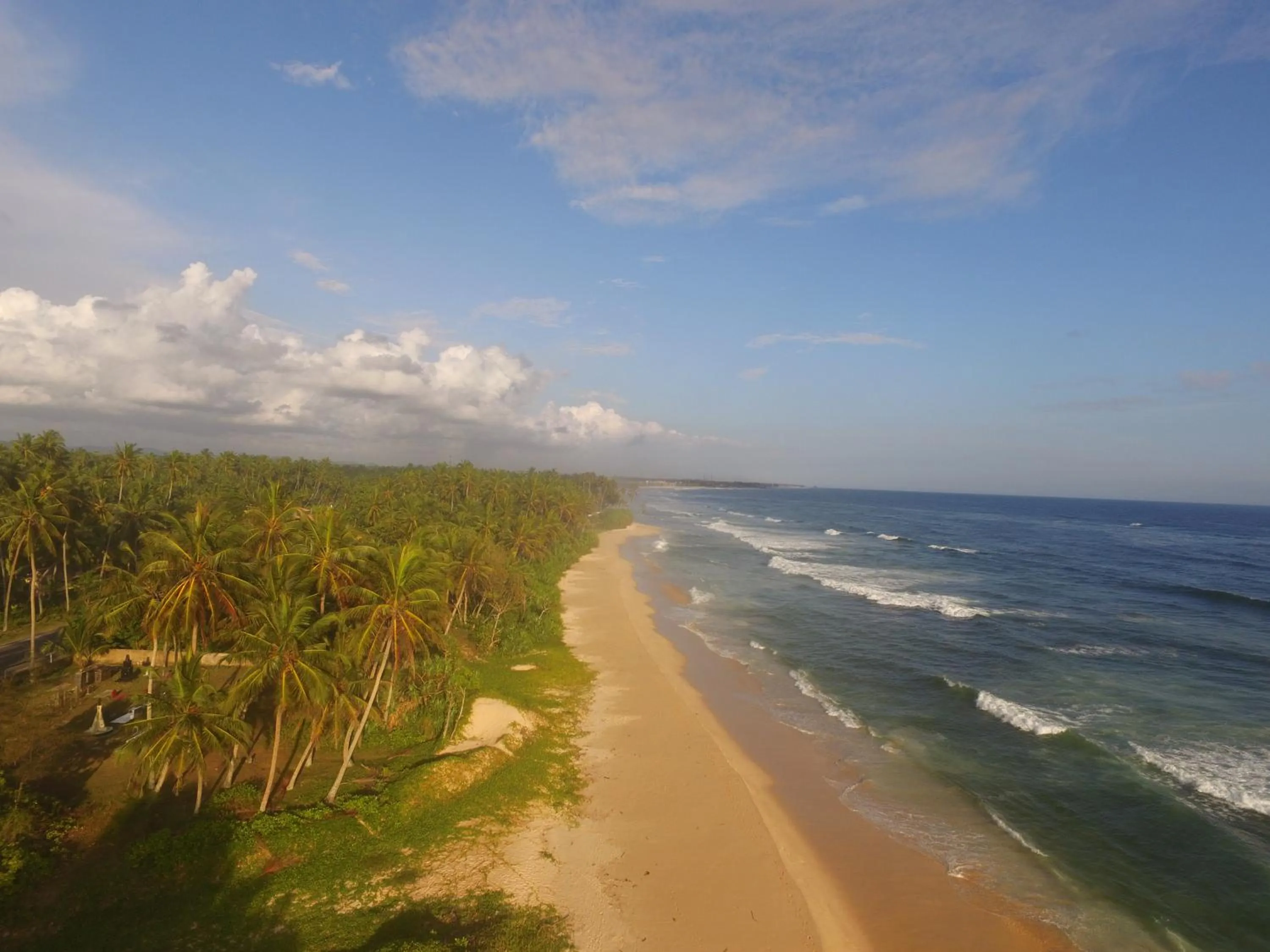 Beach in King Coconut Lodge