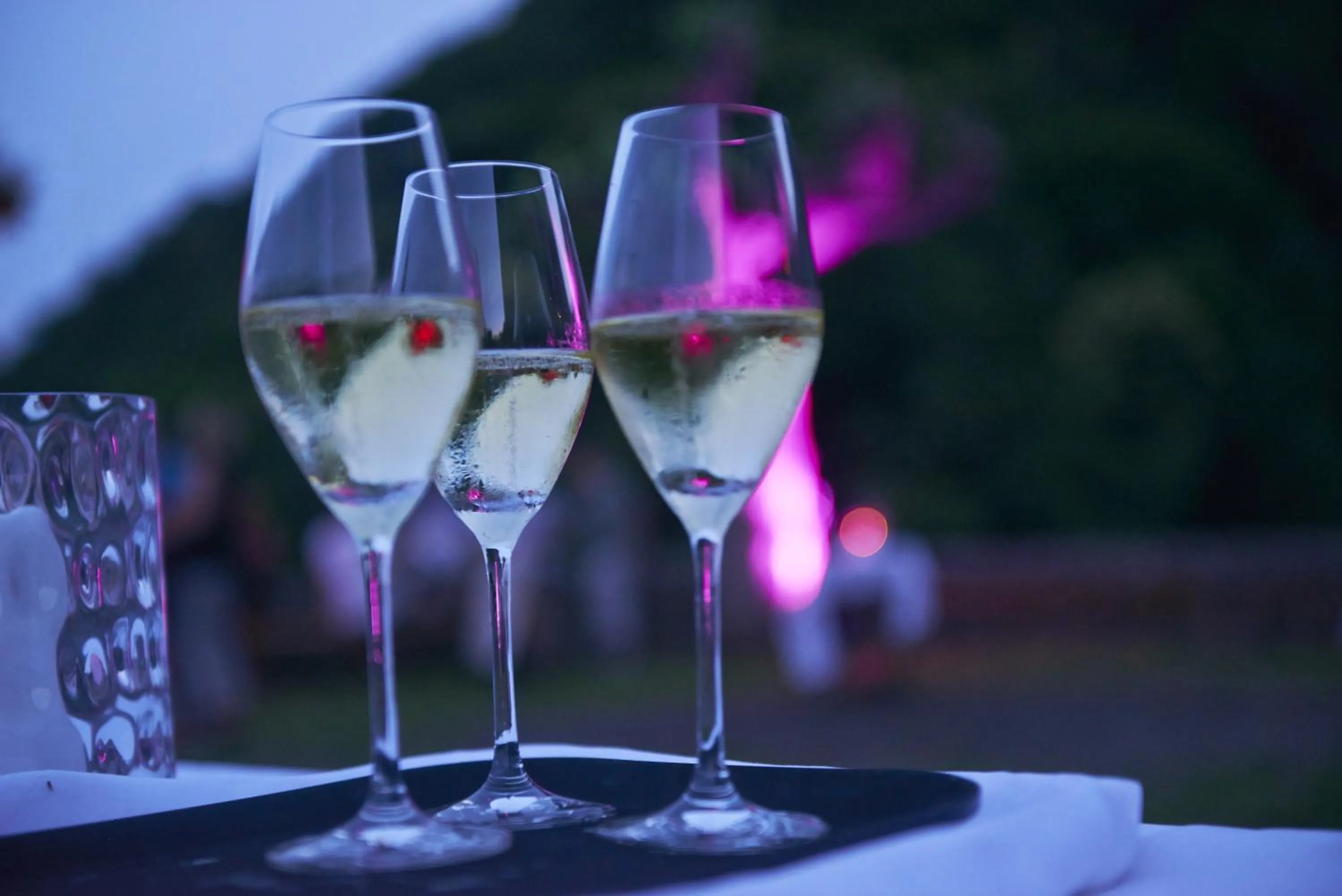 Alcoholic drinks in Burg Reichenstein