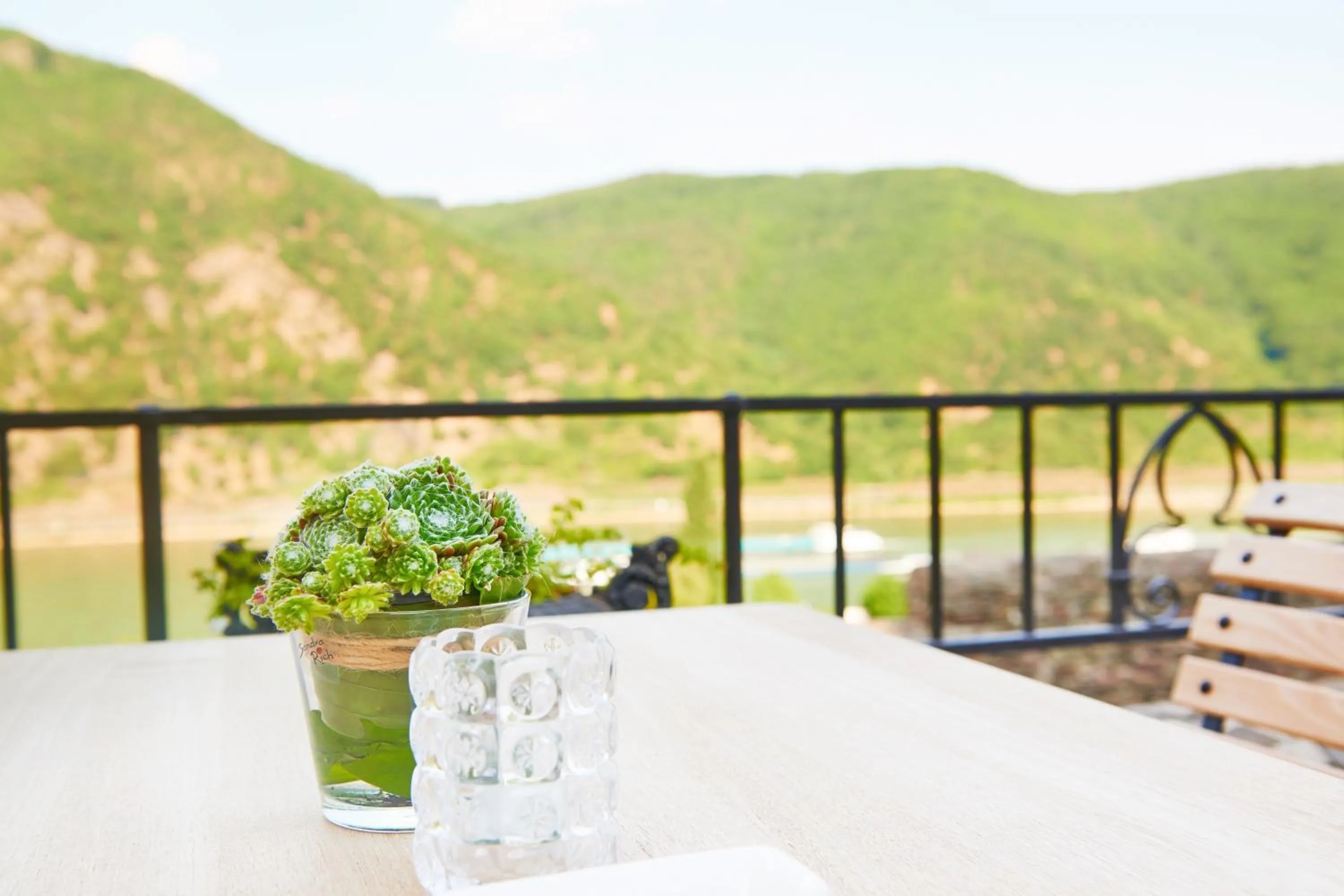 Day in Burg Reichenstein