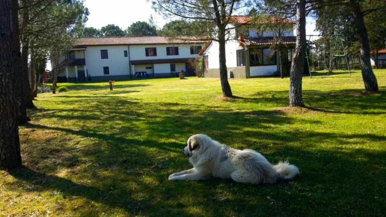 Holiday Home in Artenatura BeB Holiday Home in Artenatura BeB