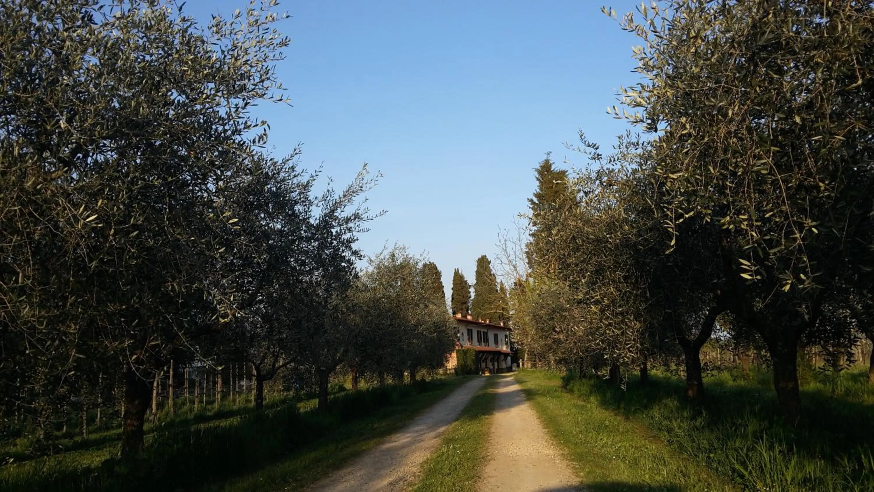 Area and facilities in Artenatura BeB