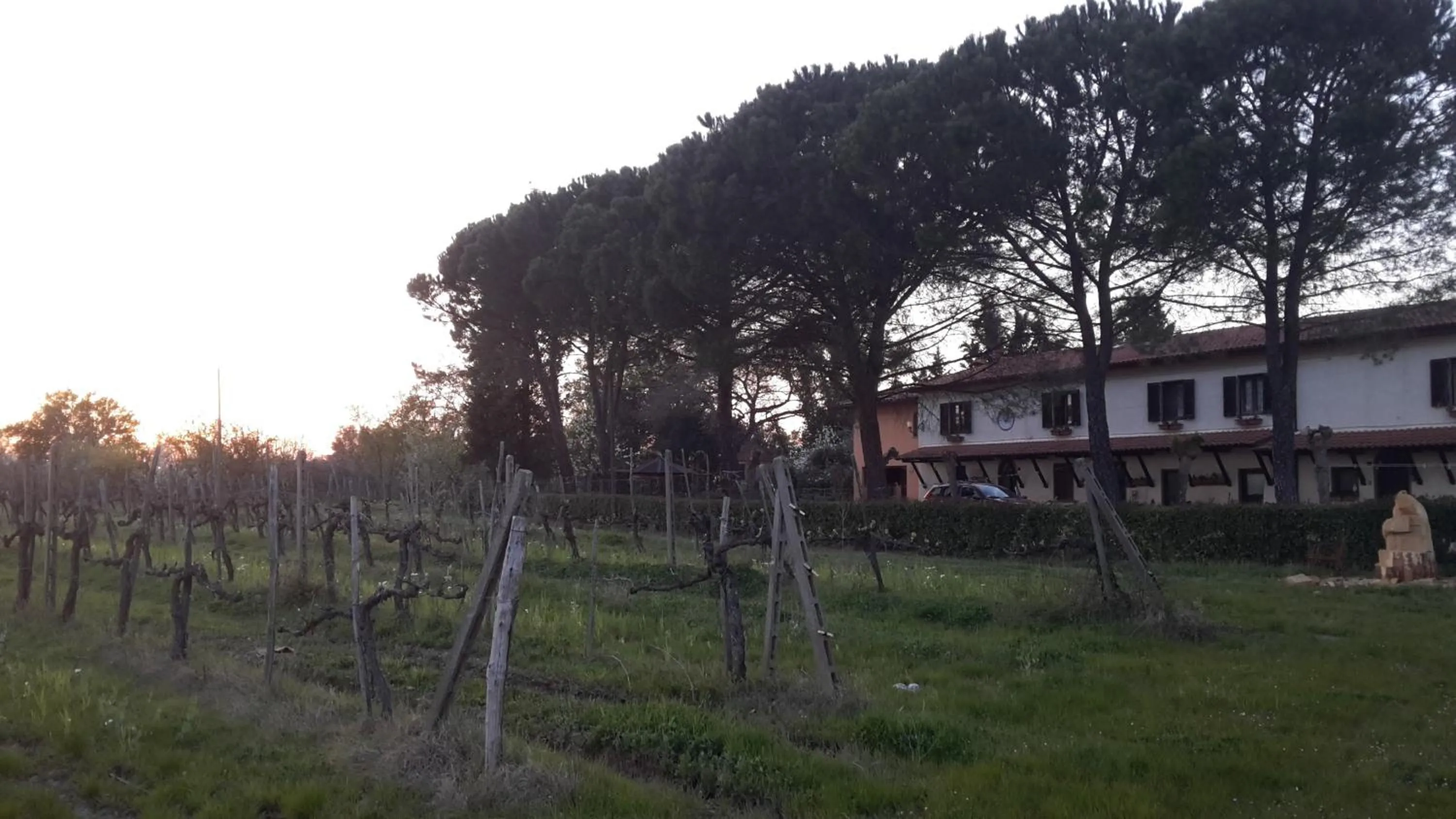 Property building in Artenatura BeB