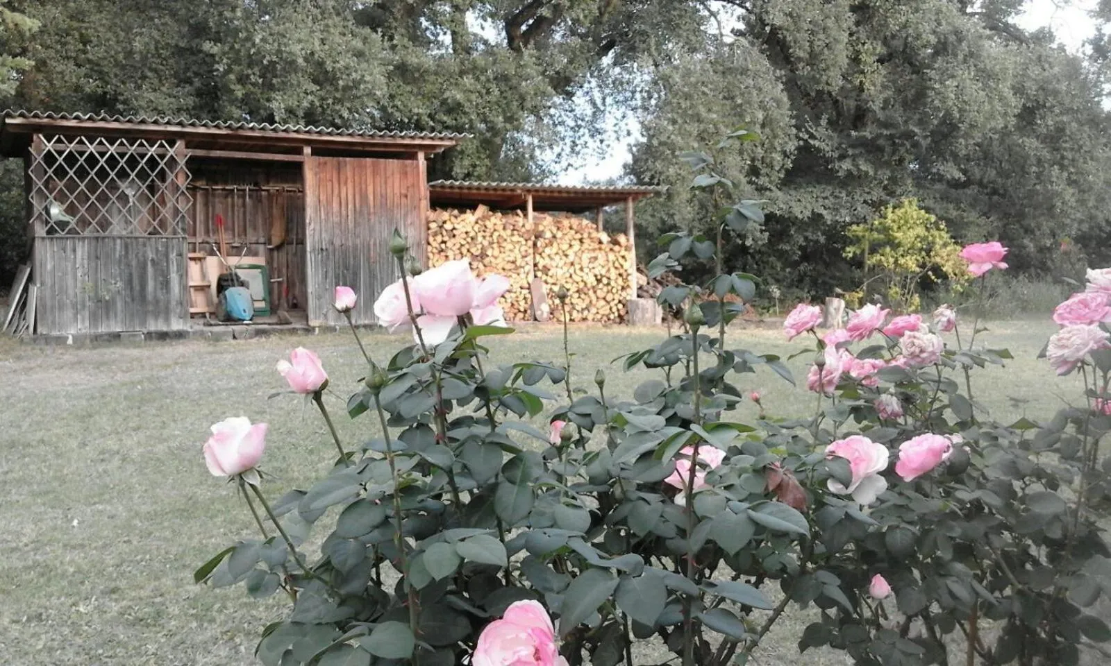 Other in Artenatura BeB