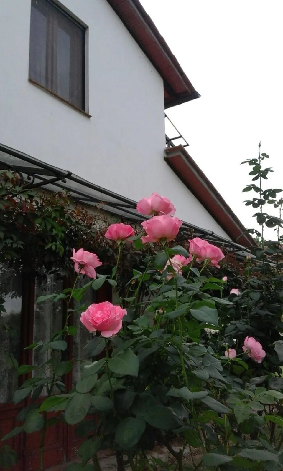 Floor plan in Artenatura BeB