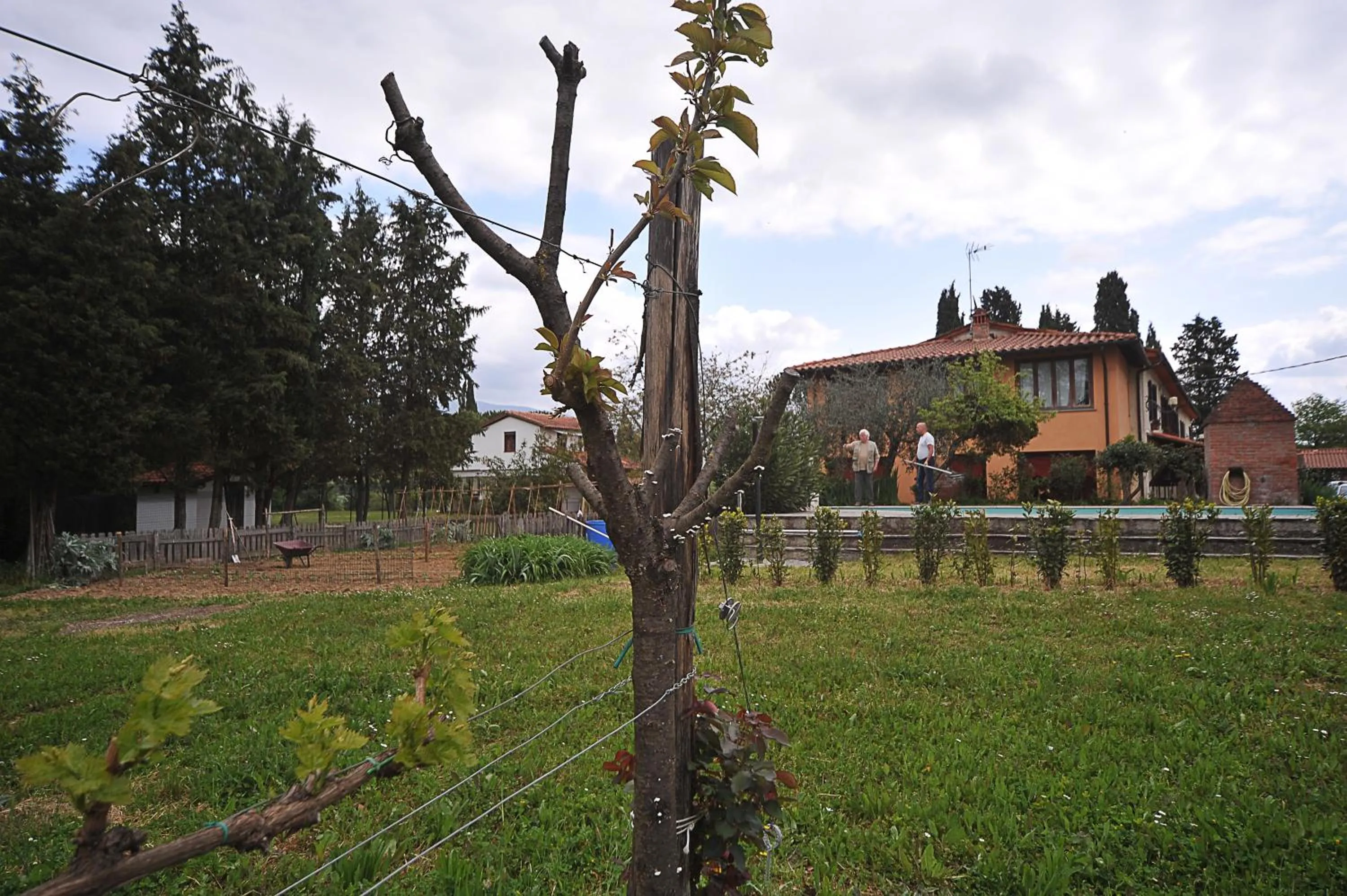 Natural landscape in Artenatura BeB