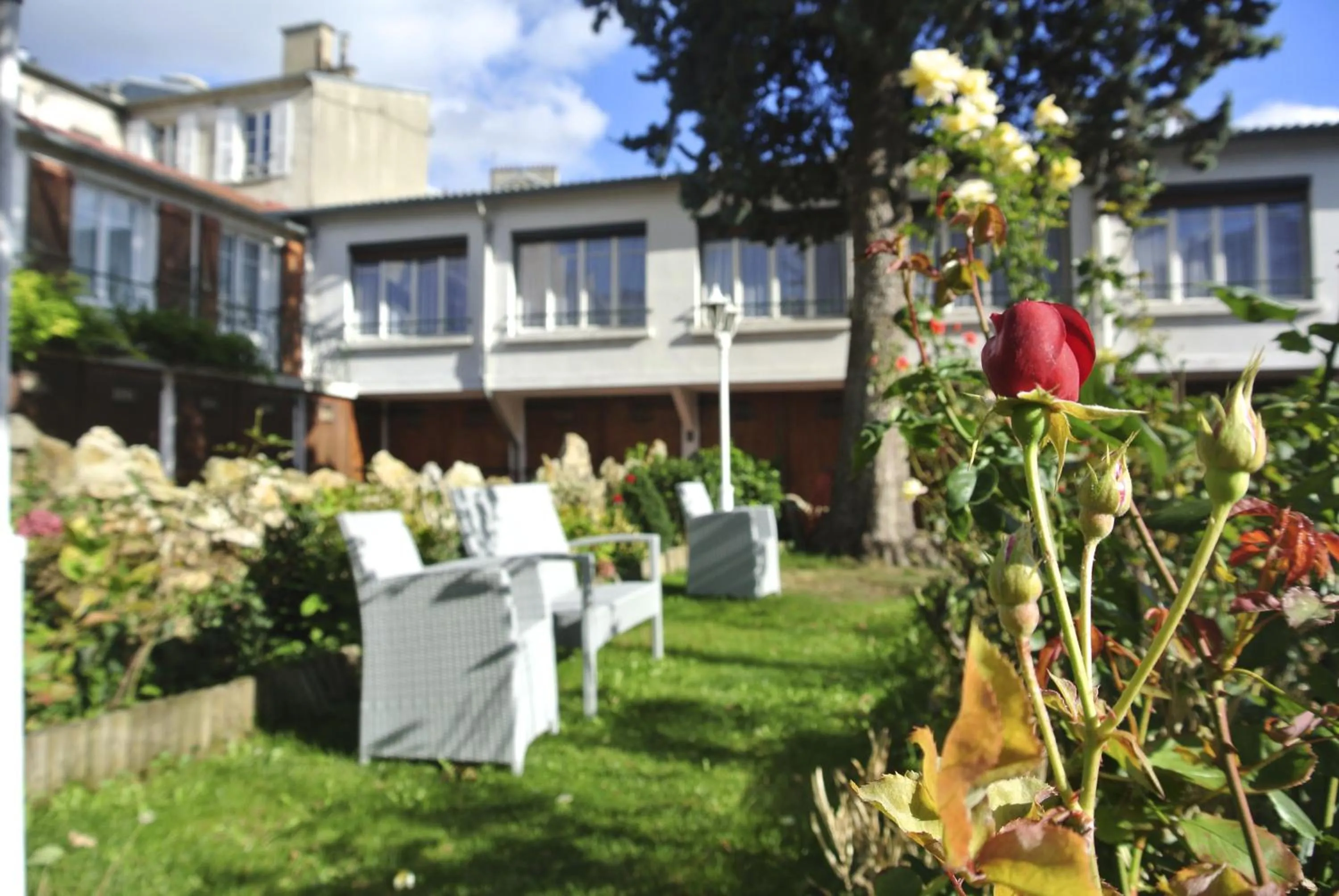 Garden in Hôtel du Cheval Rouge