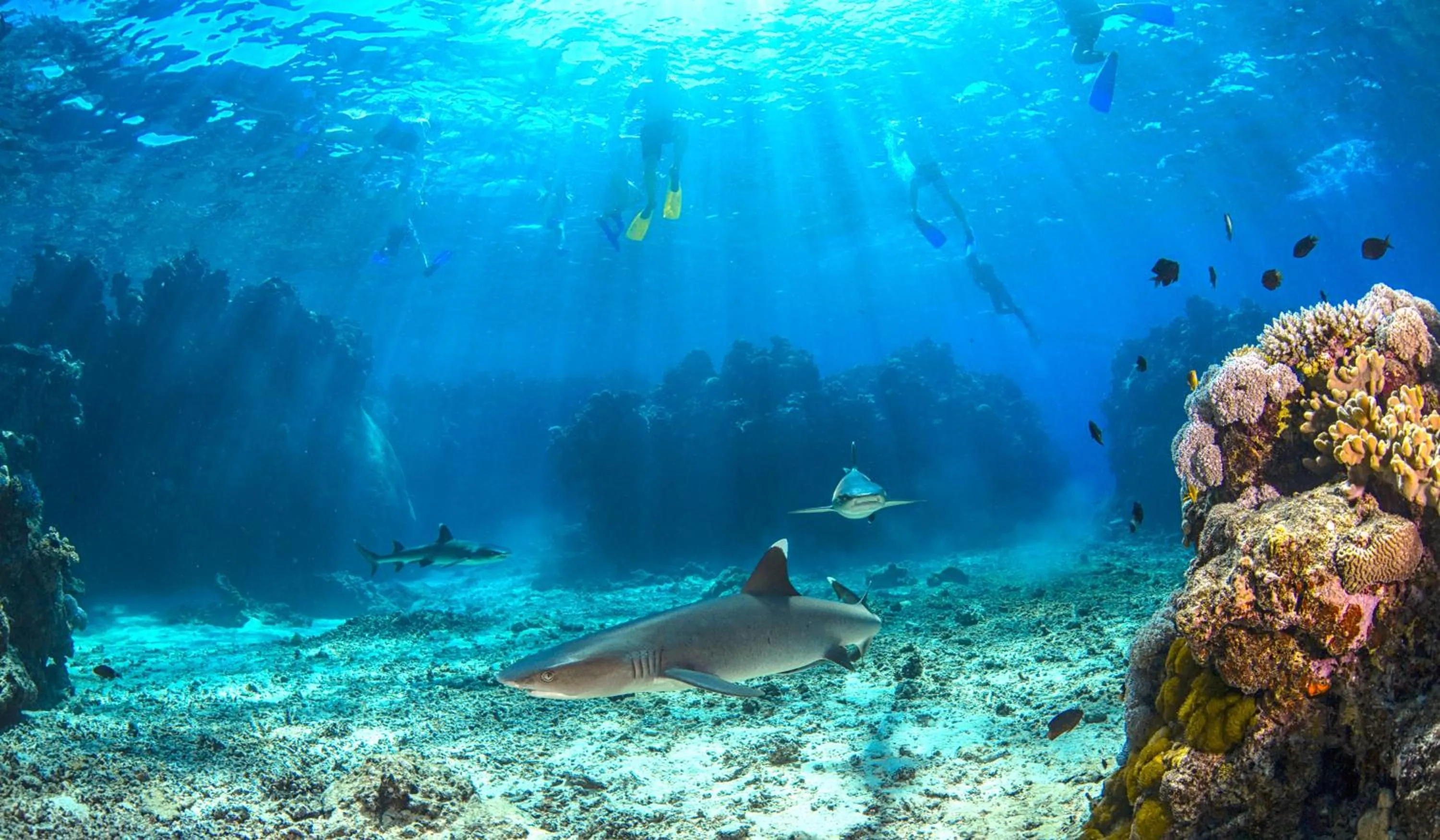 Activities in Barefoot Kuata Island Resort