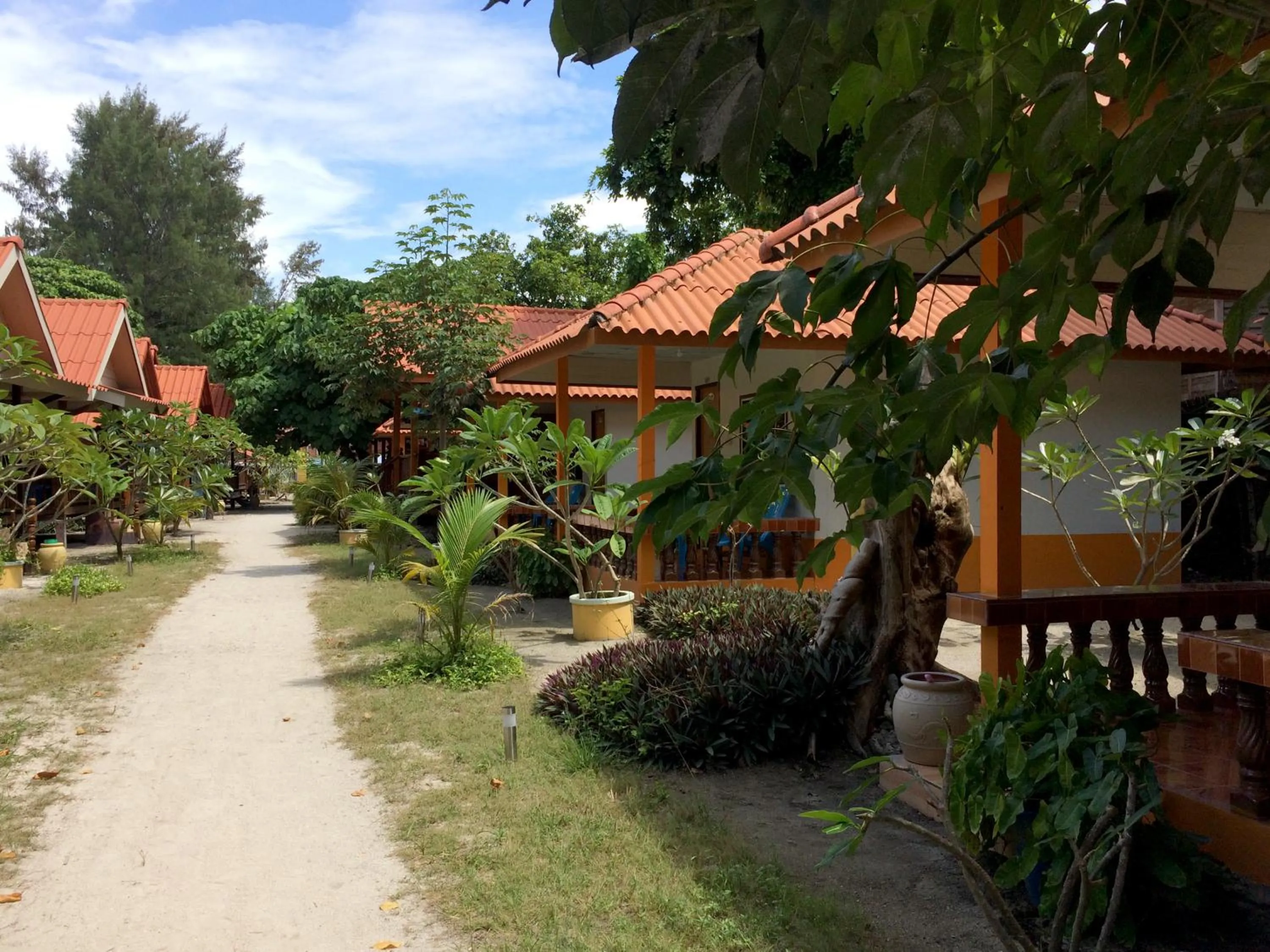 Garden view in Coco Beach Bungalows