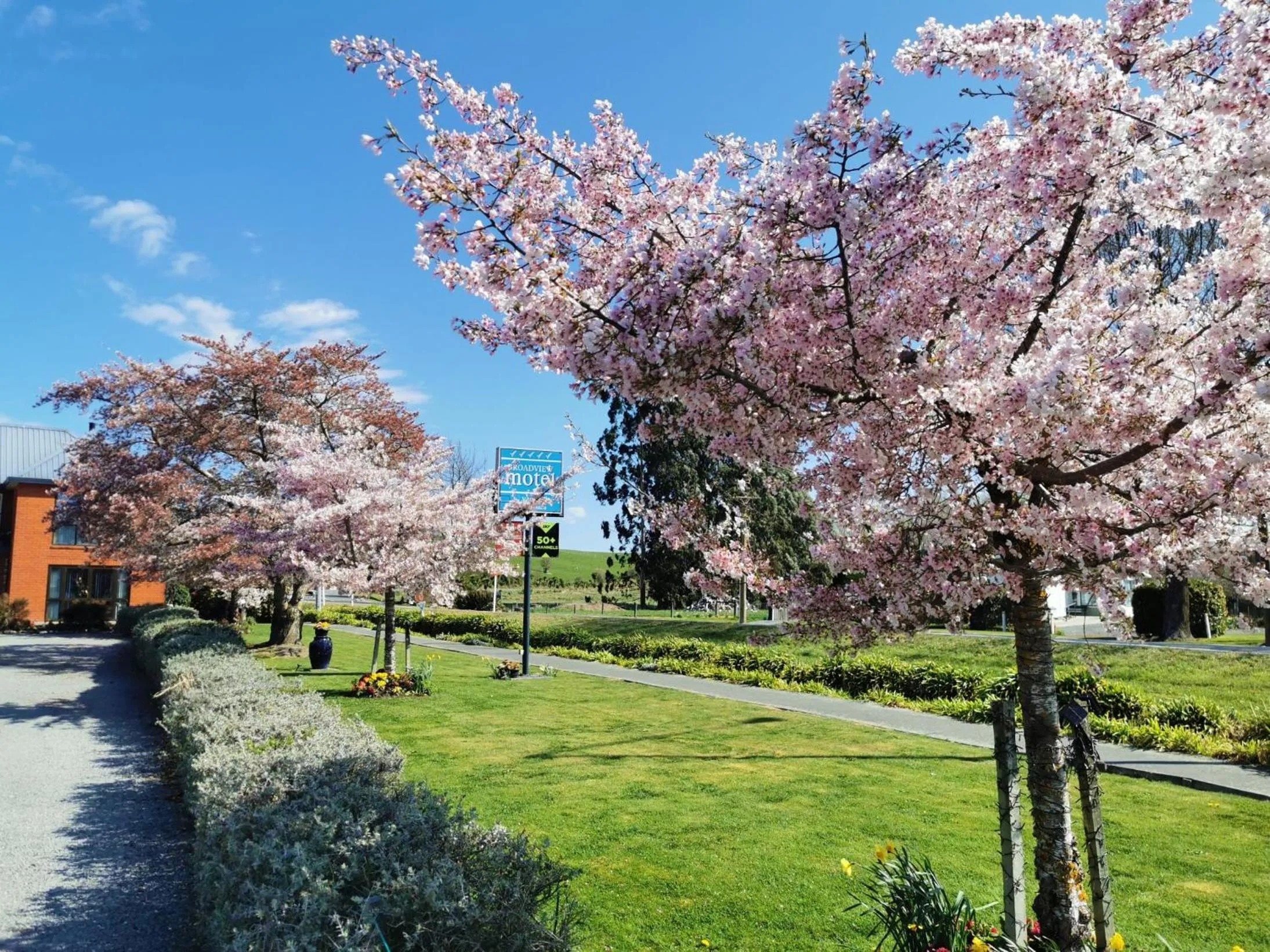 Spring in Broadview Motel