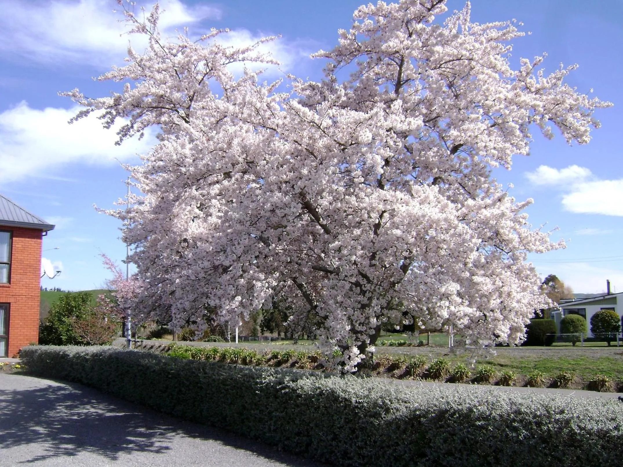 Spring in Broadview Motel