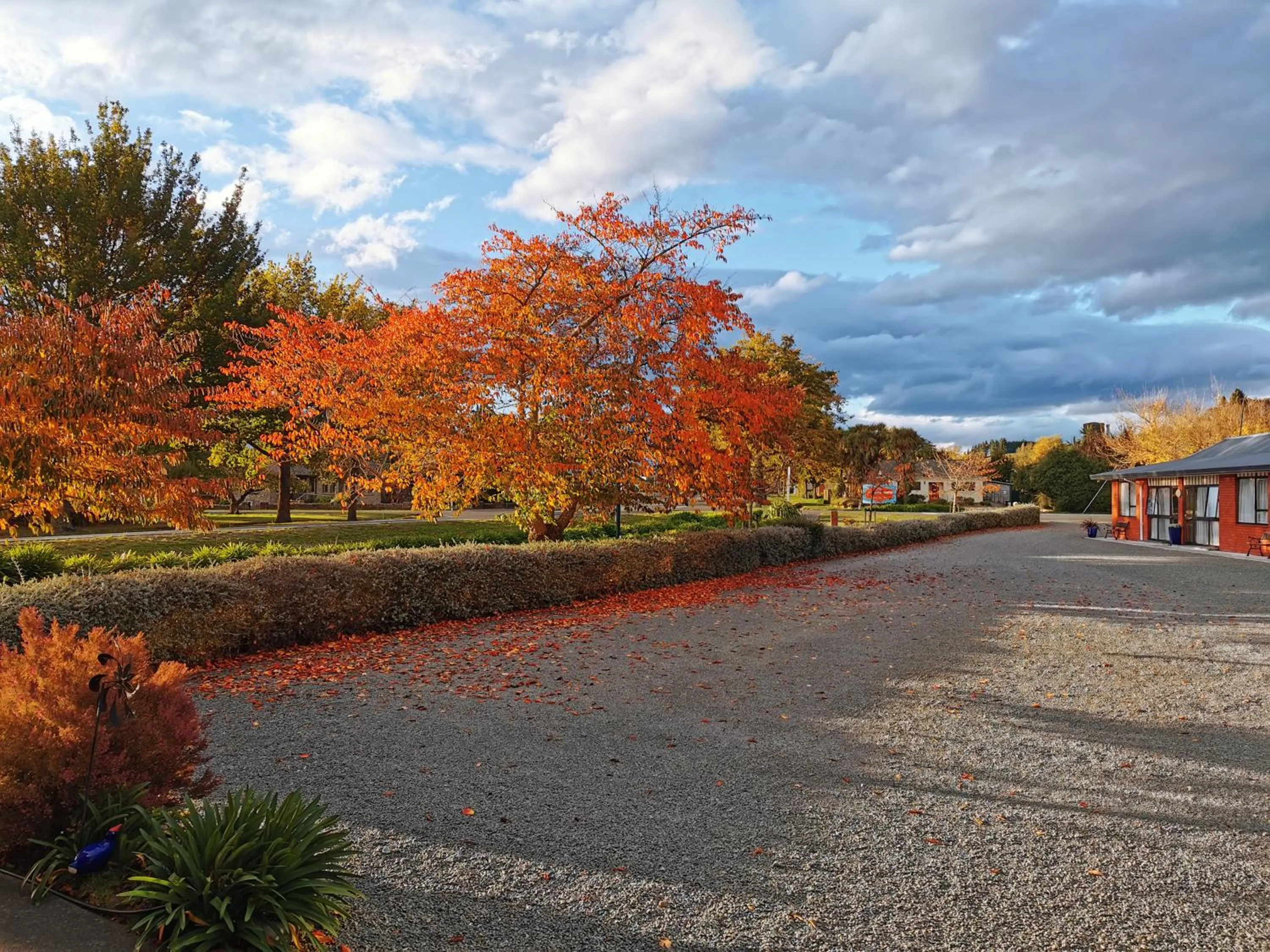 Autumn in Broadview Motel