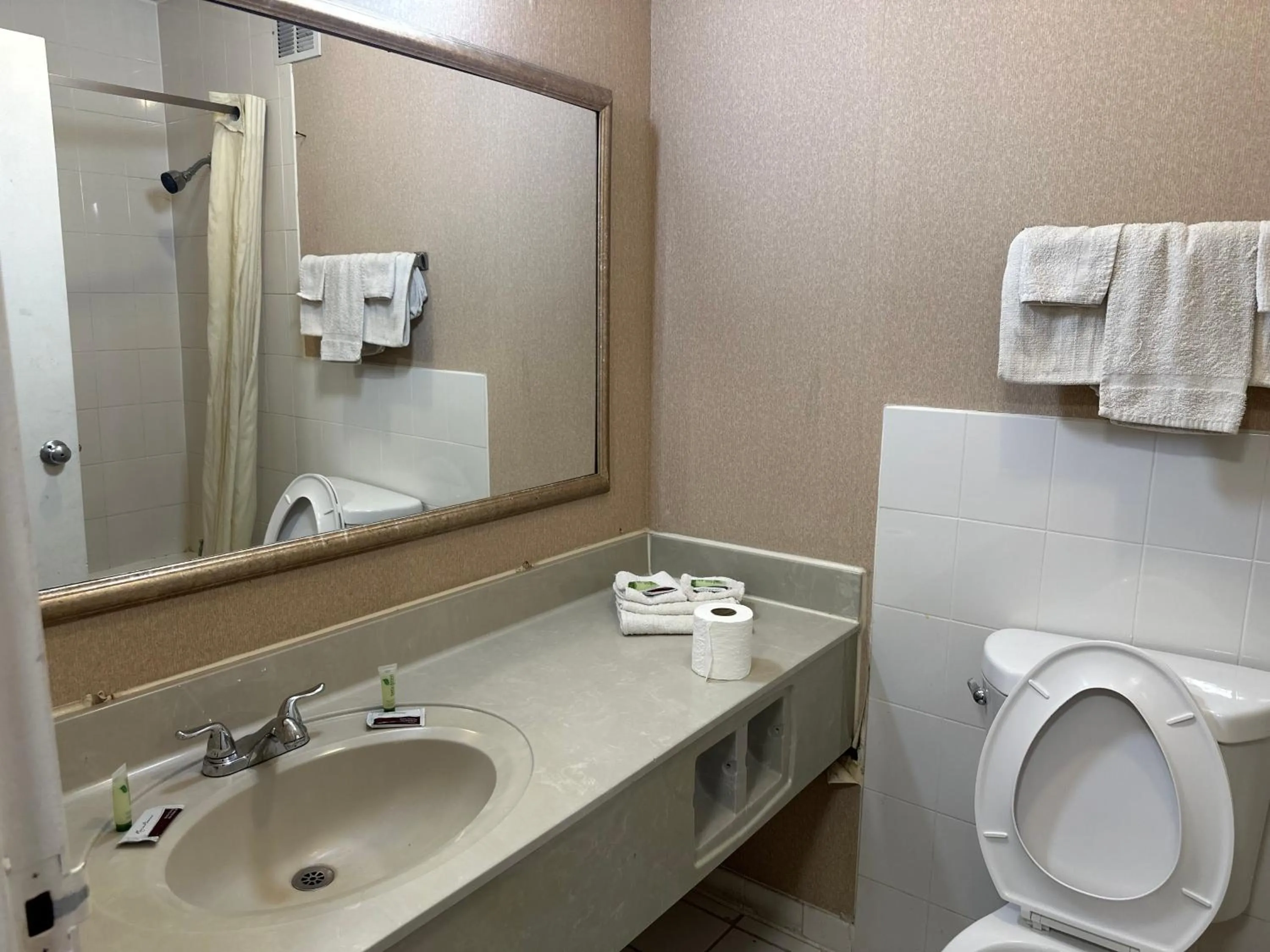 Bathroom in Airport Inn Flint Airport