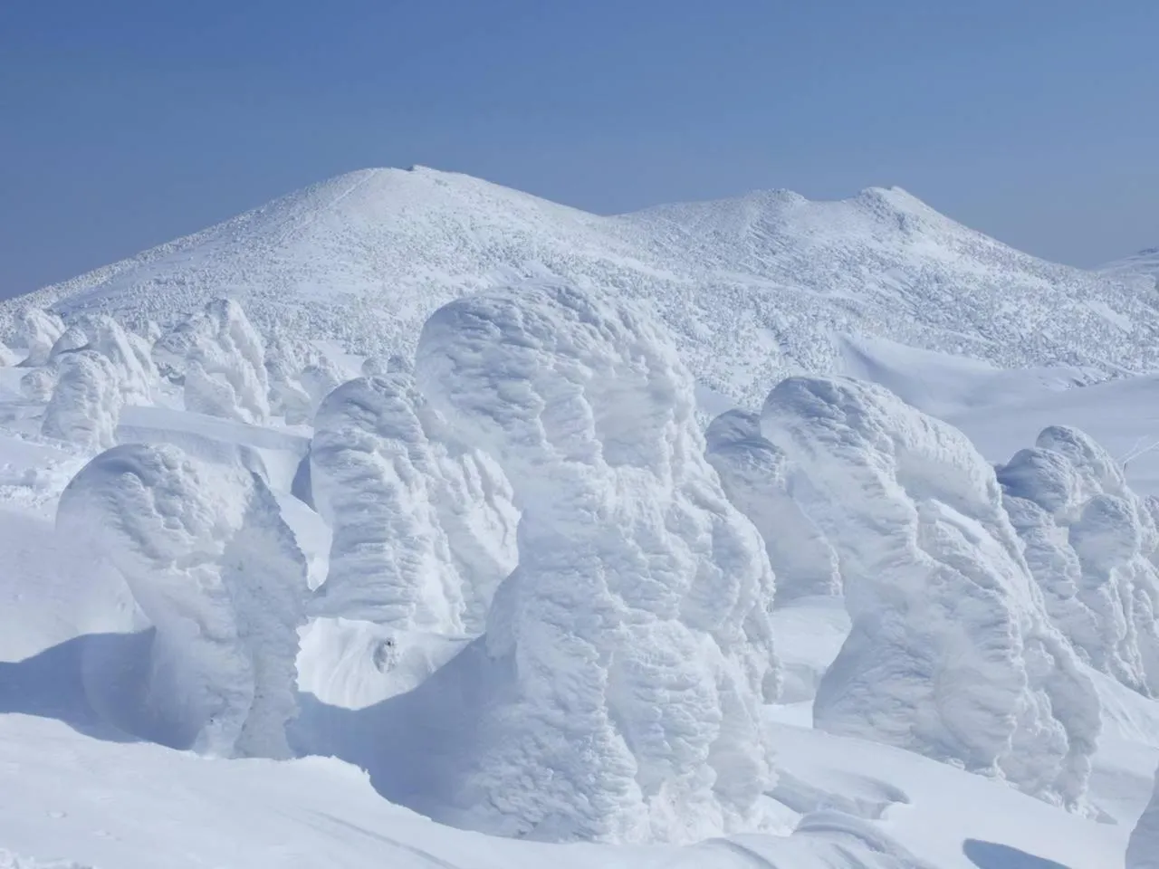 Nearby landmark in APA Hotel Aomori Eki Kenchodori