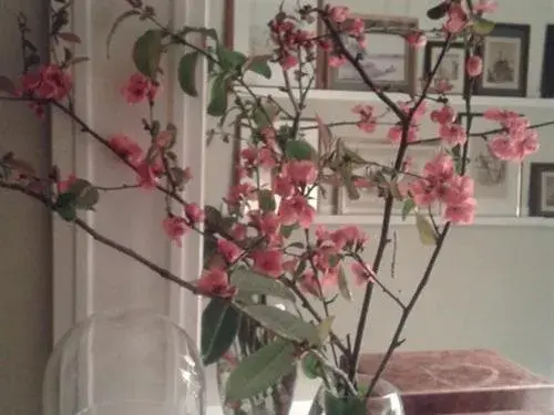 Lobby or reception in Maison d'Eclaibes Lobby or reception in Maison d'Eclaibes