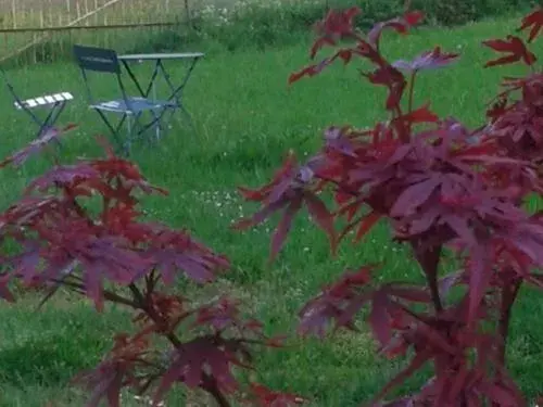 Property building in Maison d'Eclaibes Property building in Maison d'Eclaibes