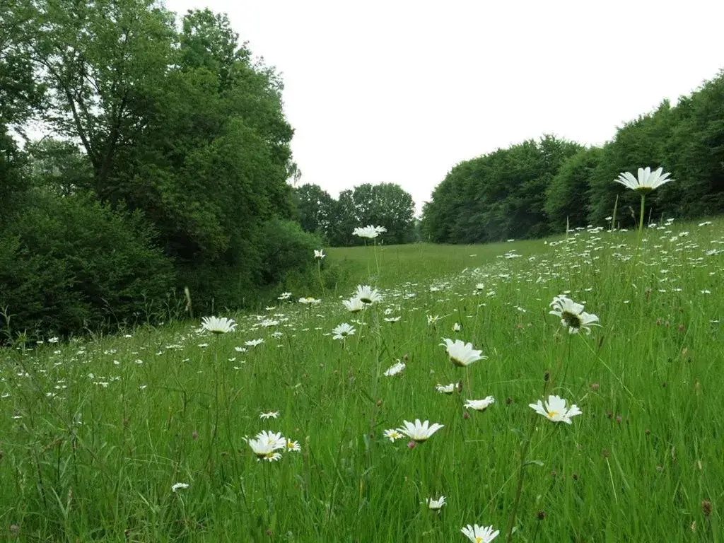 Property building in Maison d'Eclaibes Property building in Maison d'Eclaibes