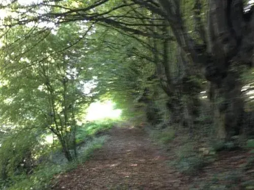 Property building in Maison d'Eclaibes Property building in Maison d'Eclaibes