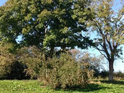 Property building in Maison d'Eclaibes Property building in Maison d'Eclaibes