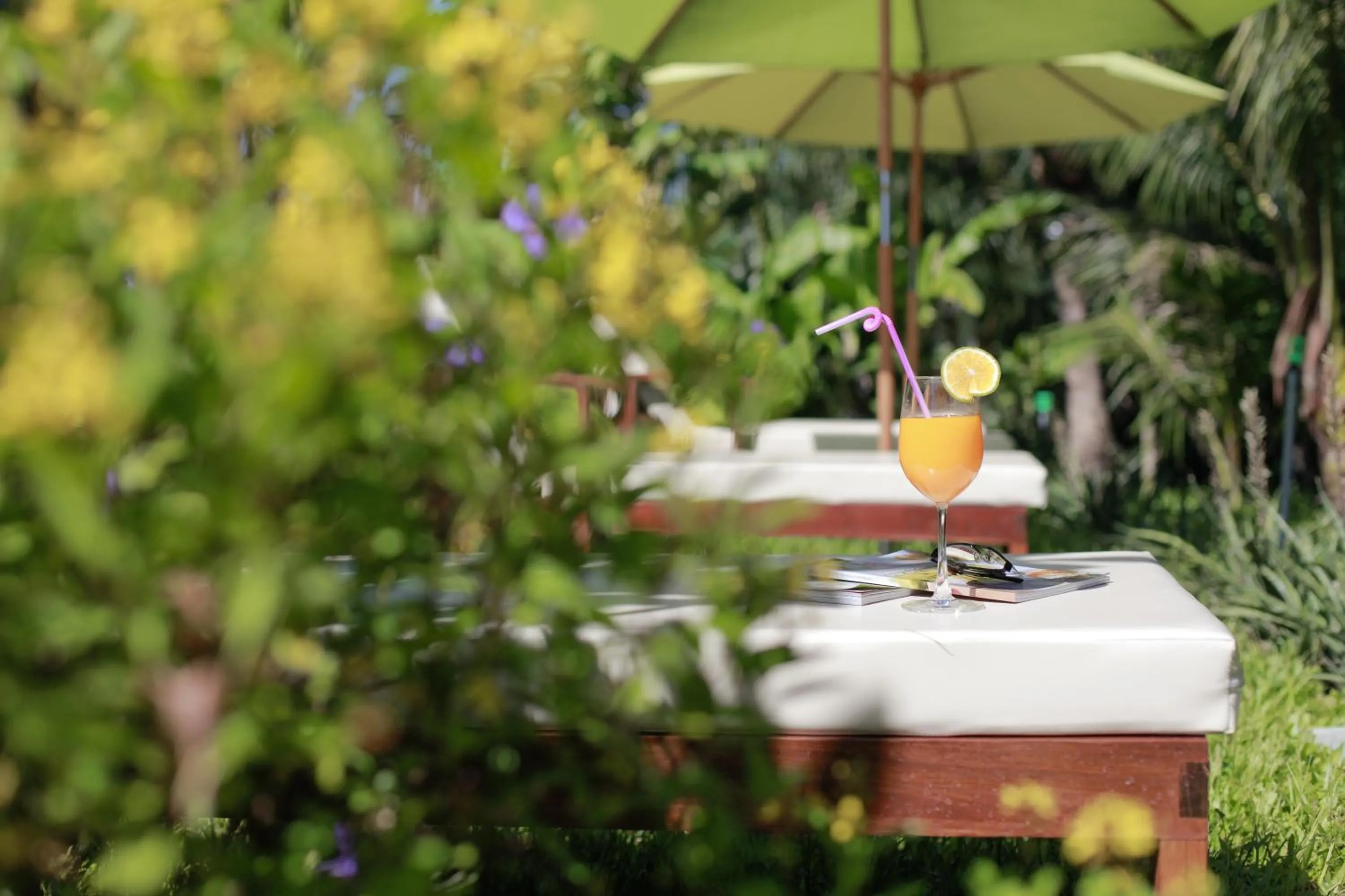 Natural landscape in Green Boutique Villa