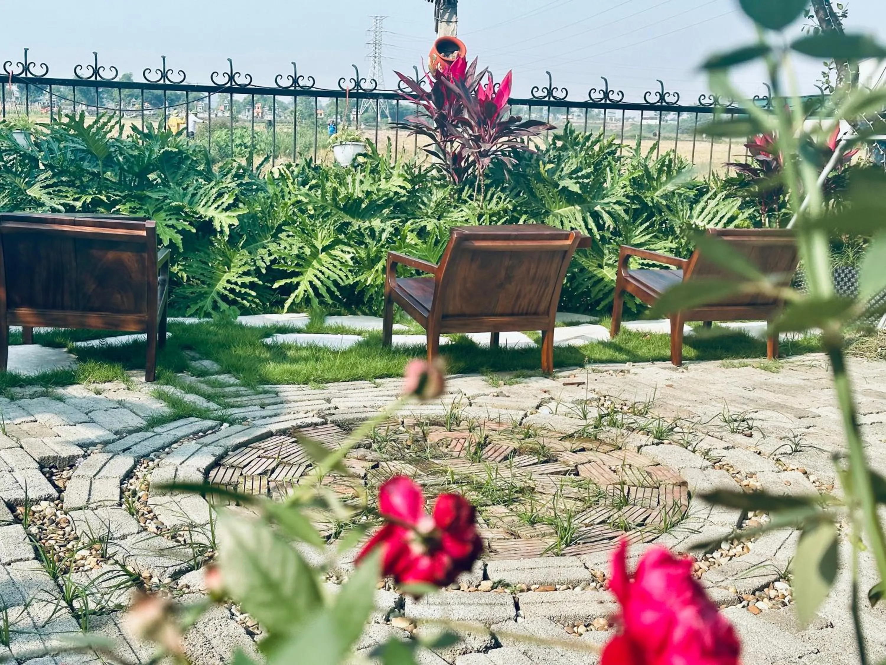 Garden in Daisy's Villa TamCoc