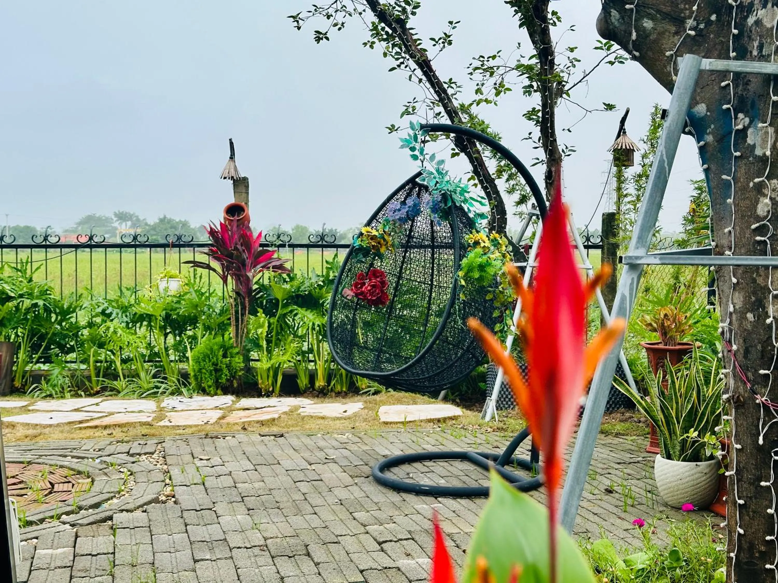 Garden in Daisy's Villa TamCoc