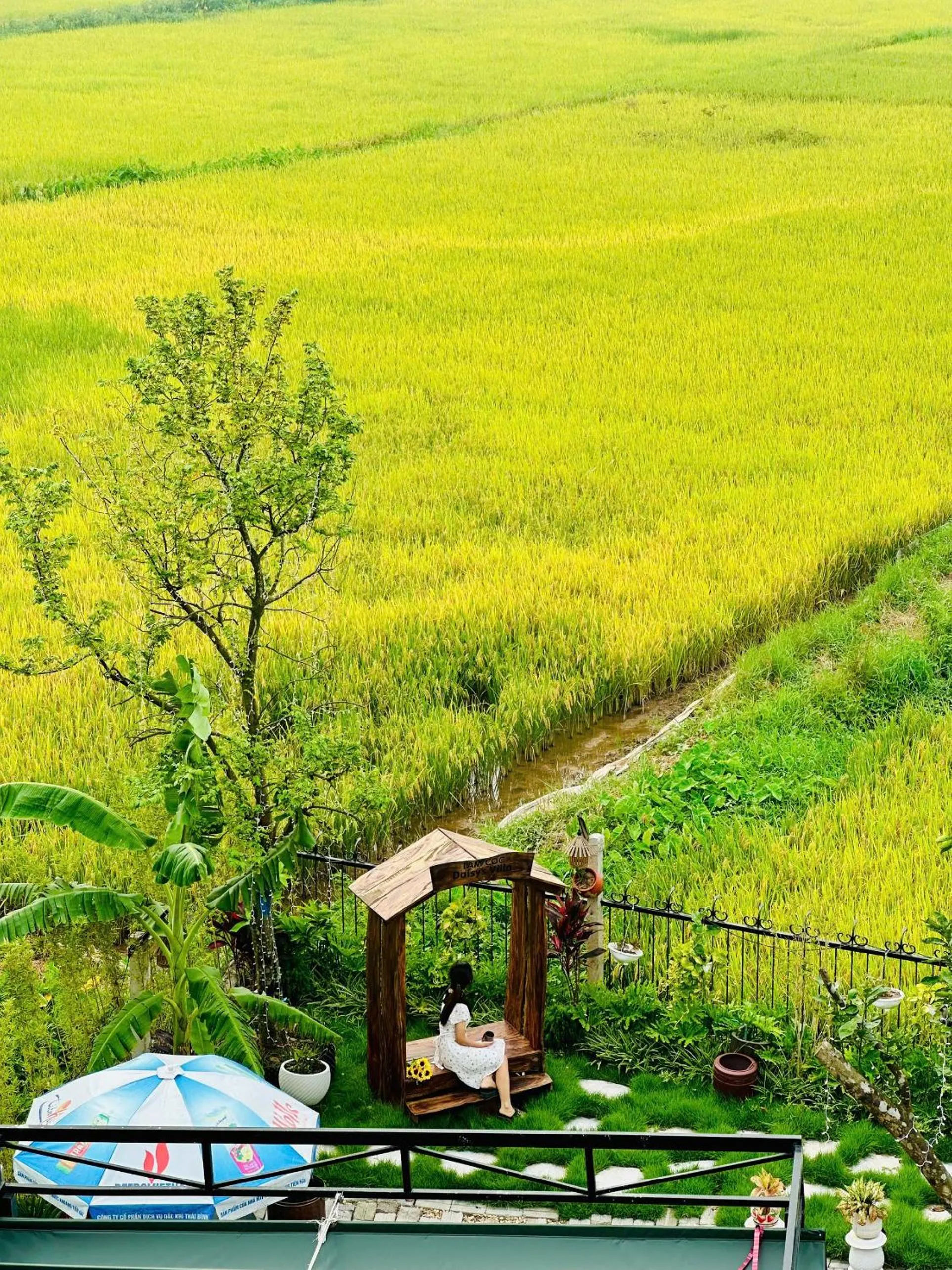 Natural landscape in Daisy's Villa TamCoc