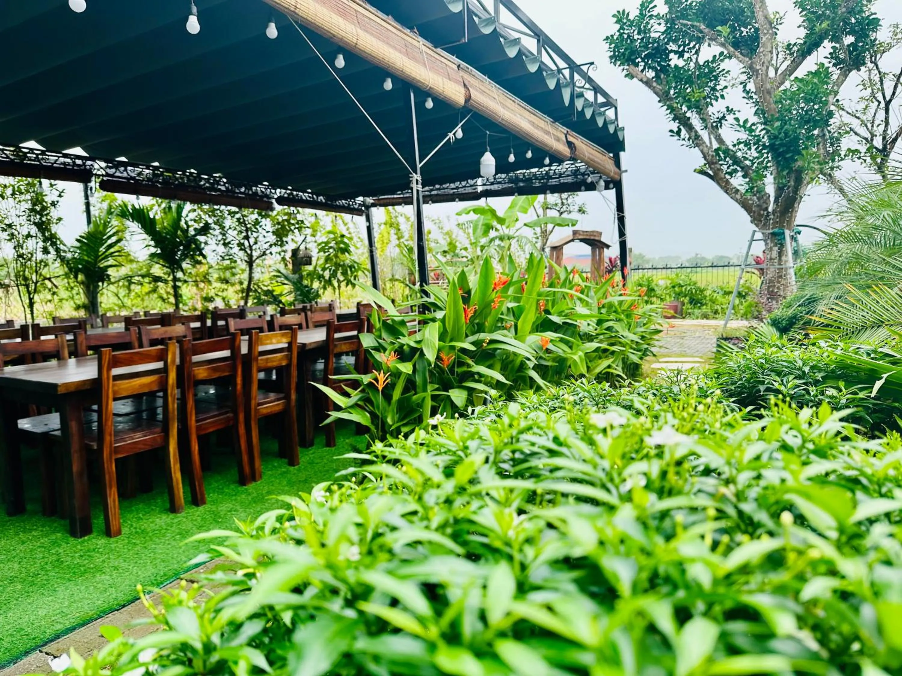 Patio in Daisy's Villa TamCoc