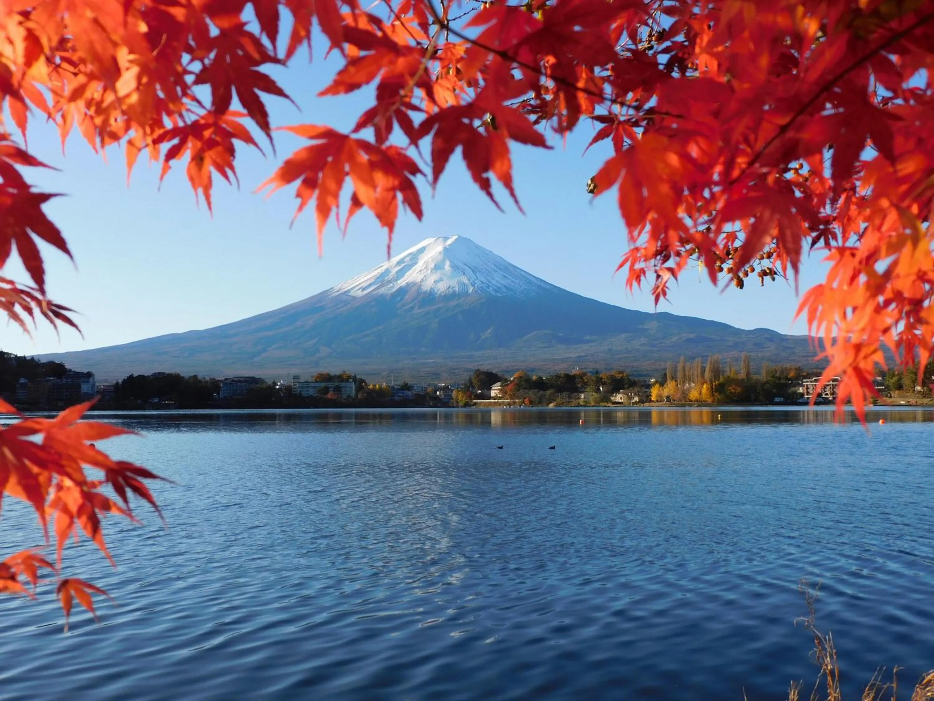 Kawaguchiko Inn Yesterday