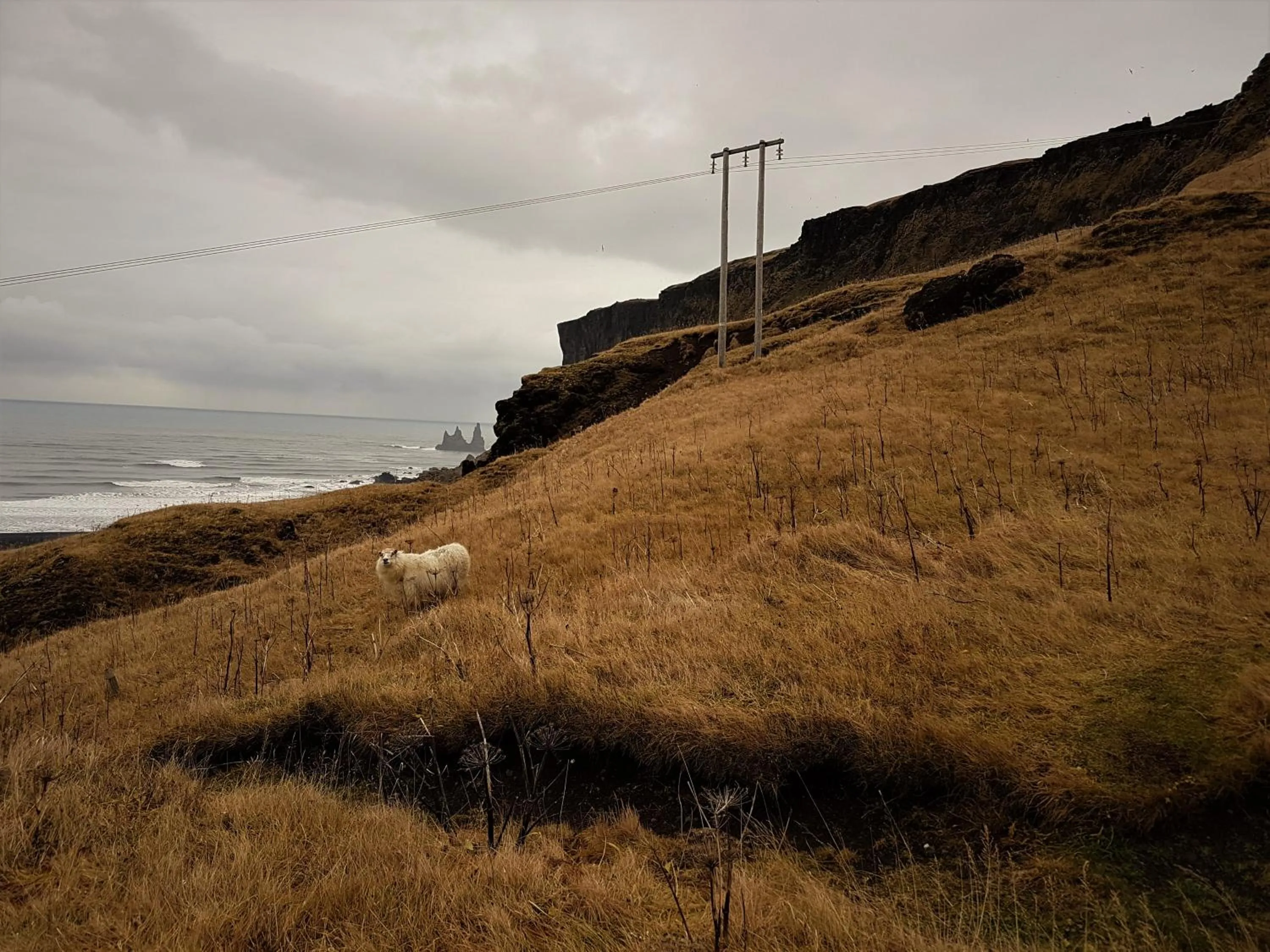 Autumn in Guesthouse Carina