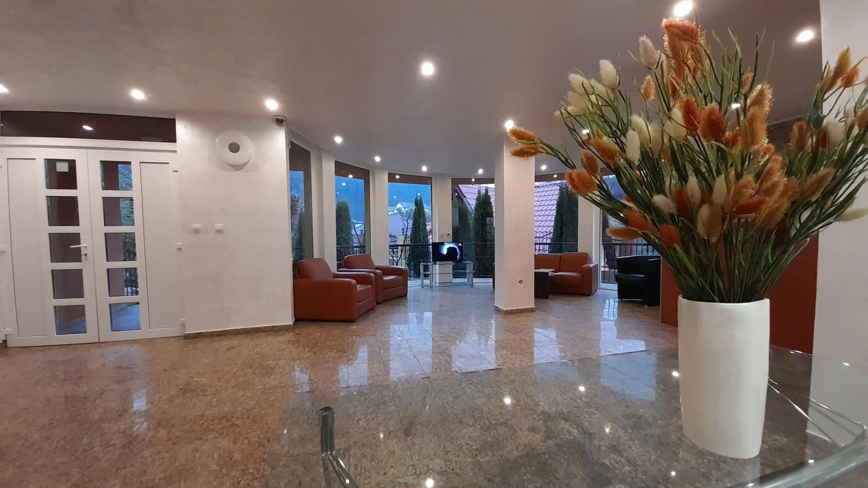 Lobby or reception in Pensiunea Lucy