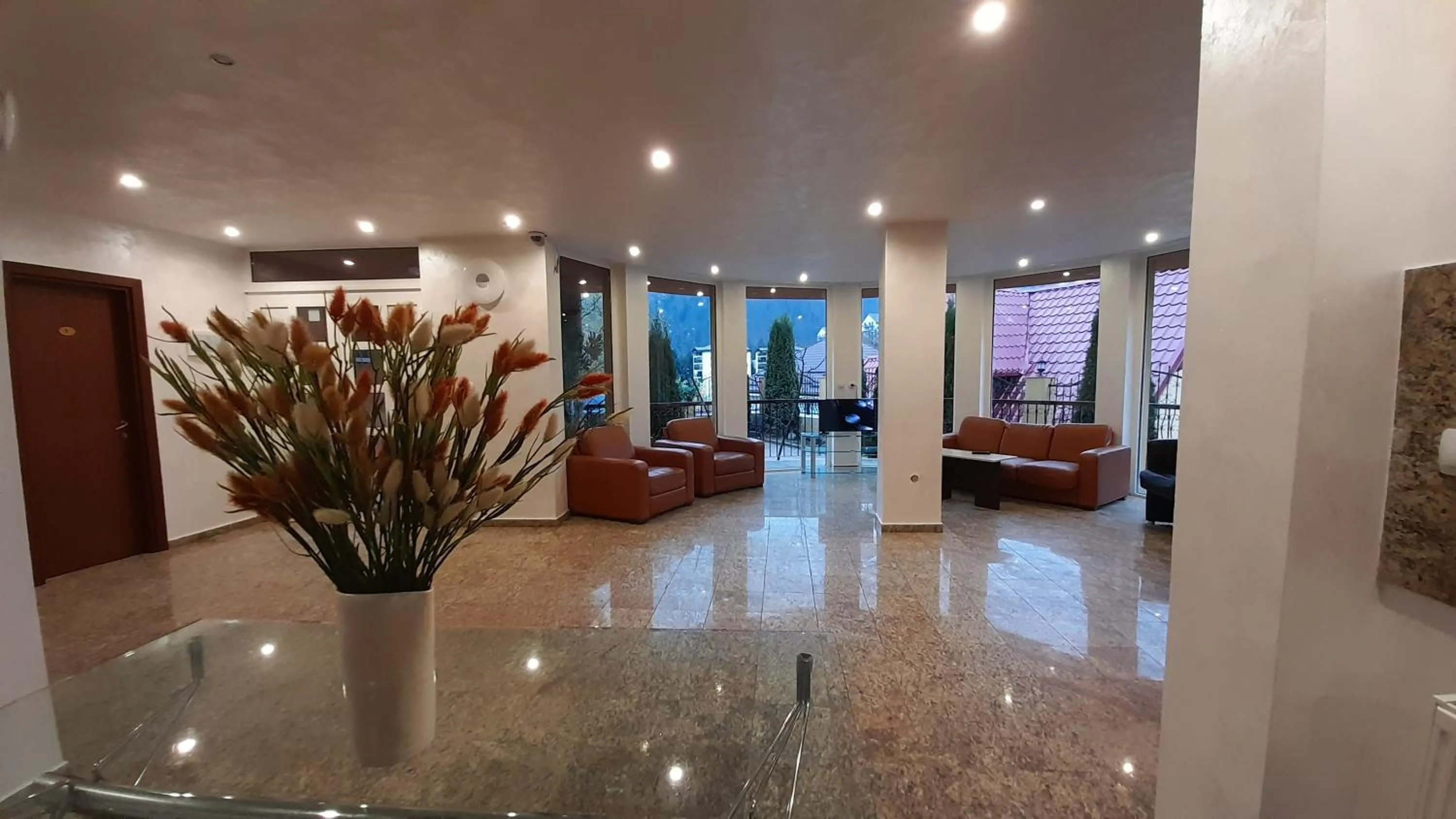Lobby or reception in Pensiunea Lucy