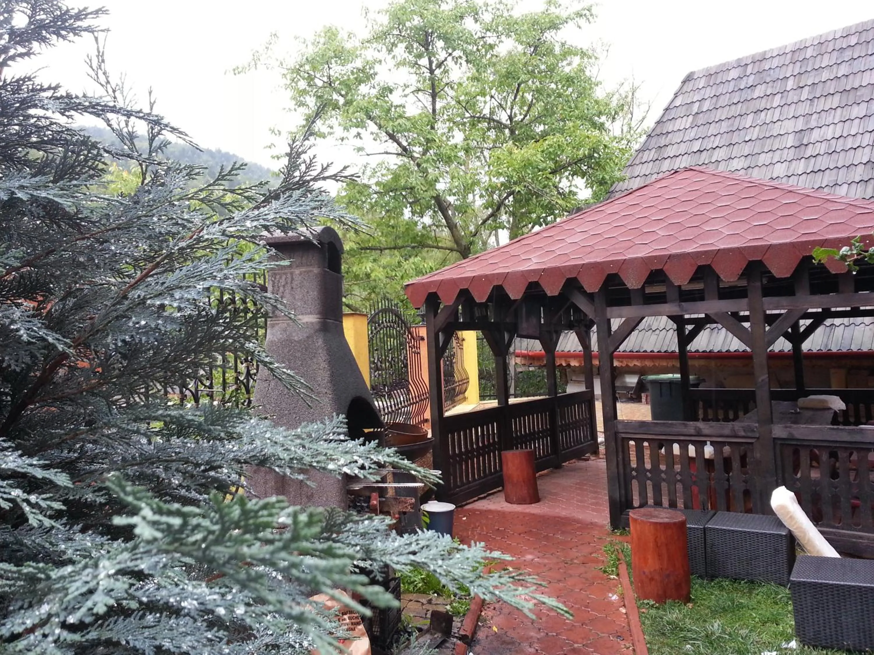 BBQ facilities in Pensiunea Lucy