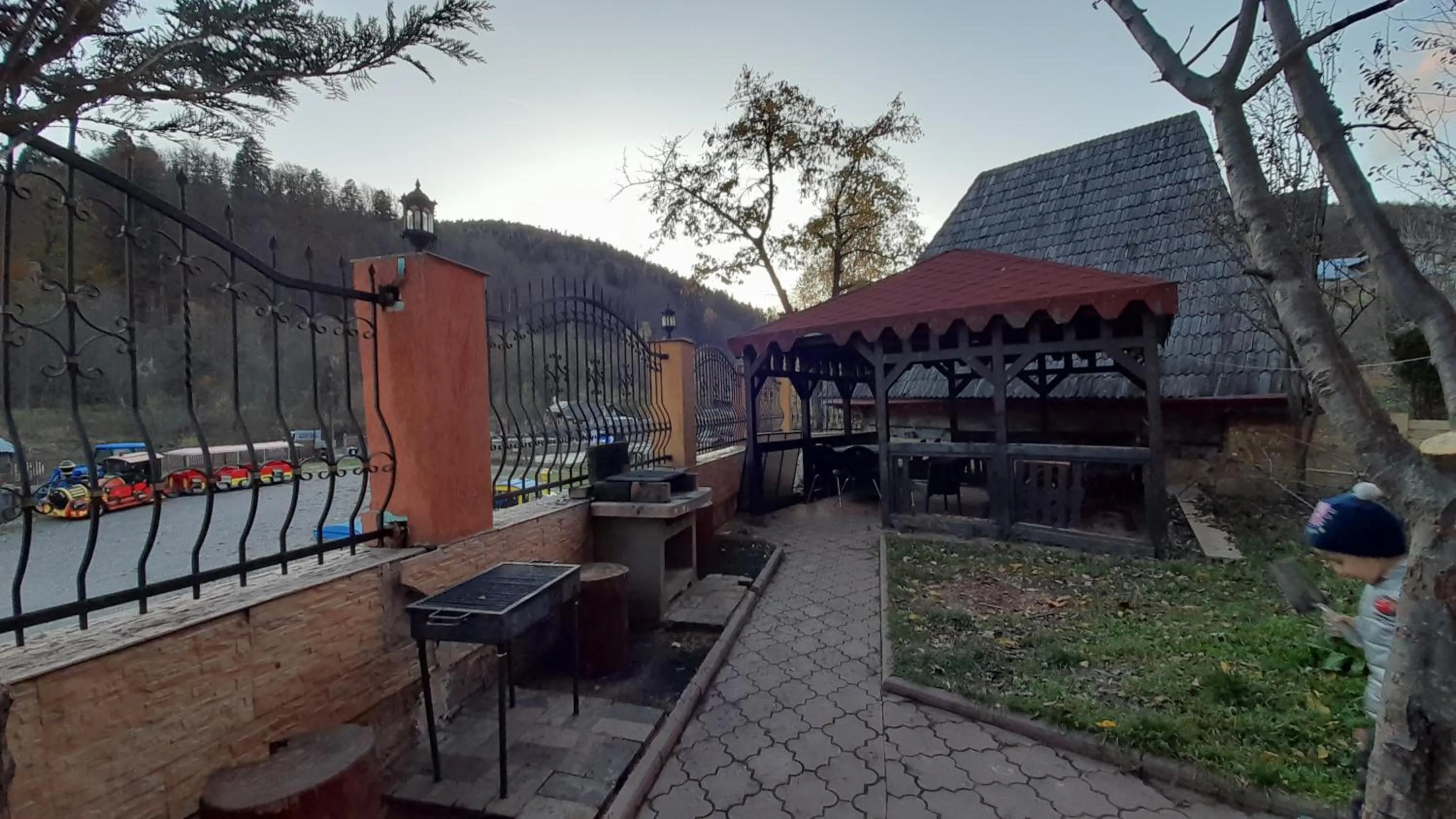 BBQ facilities in Pensiunea Lucy