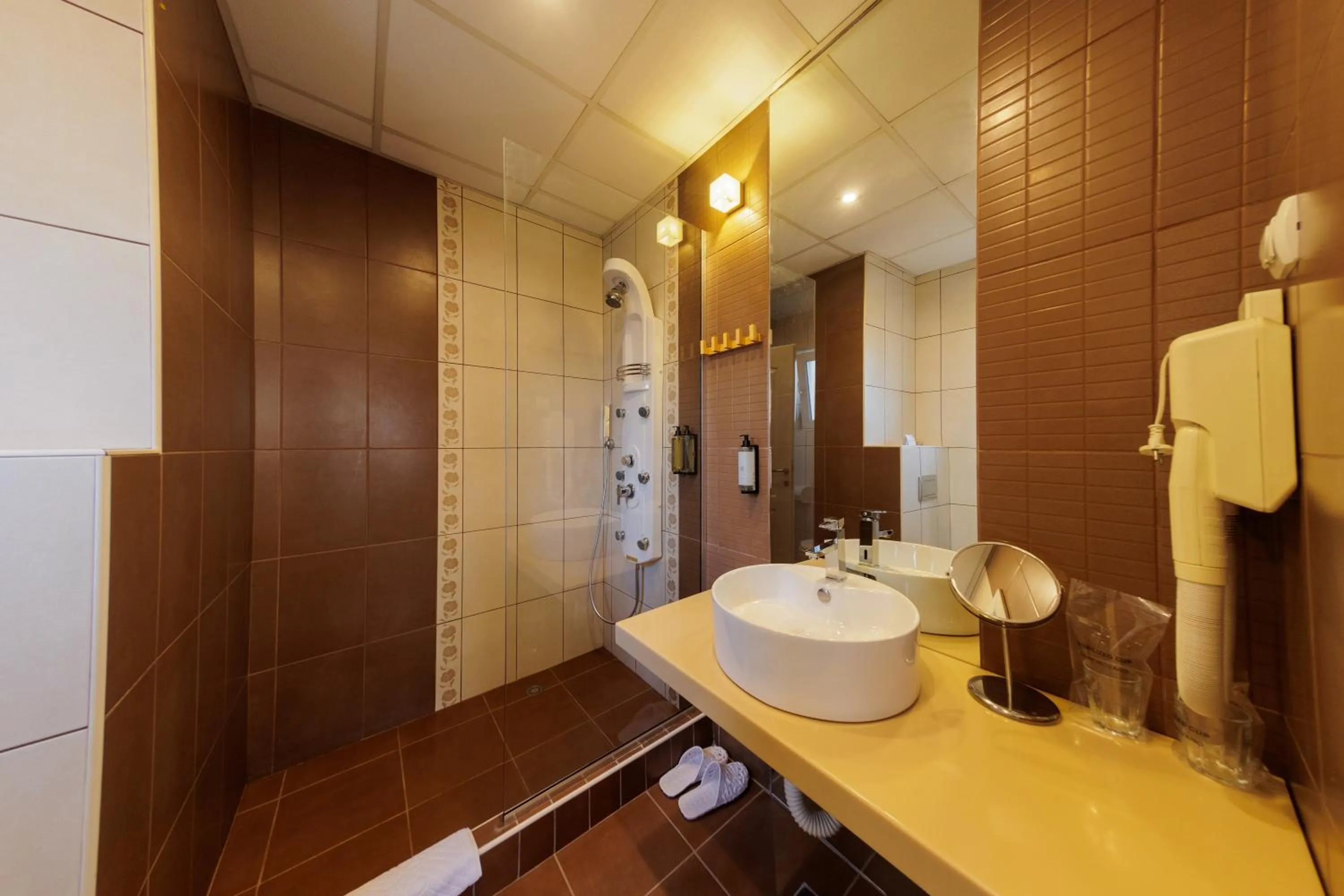 Shower in Garni Hotel Biser