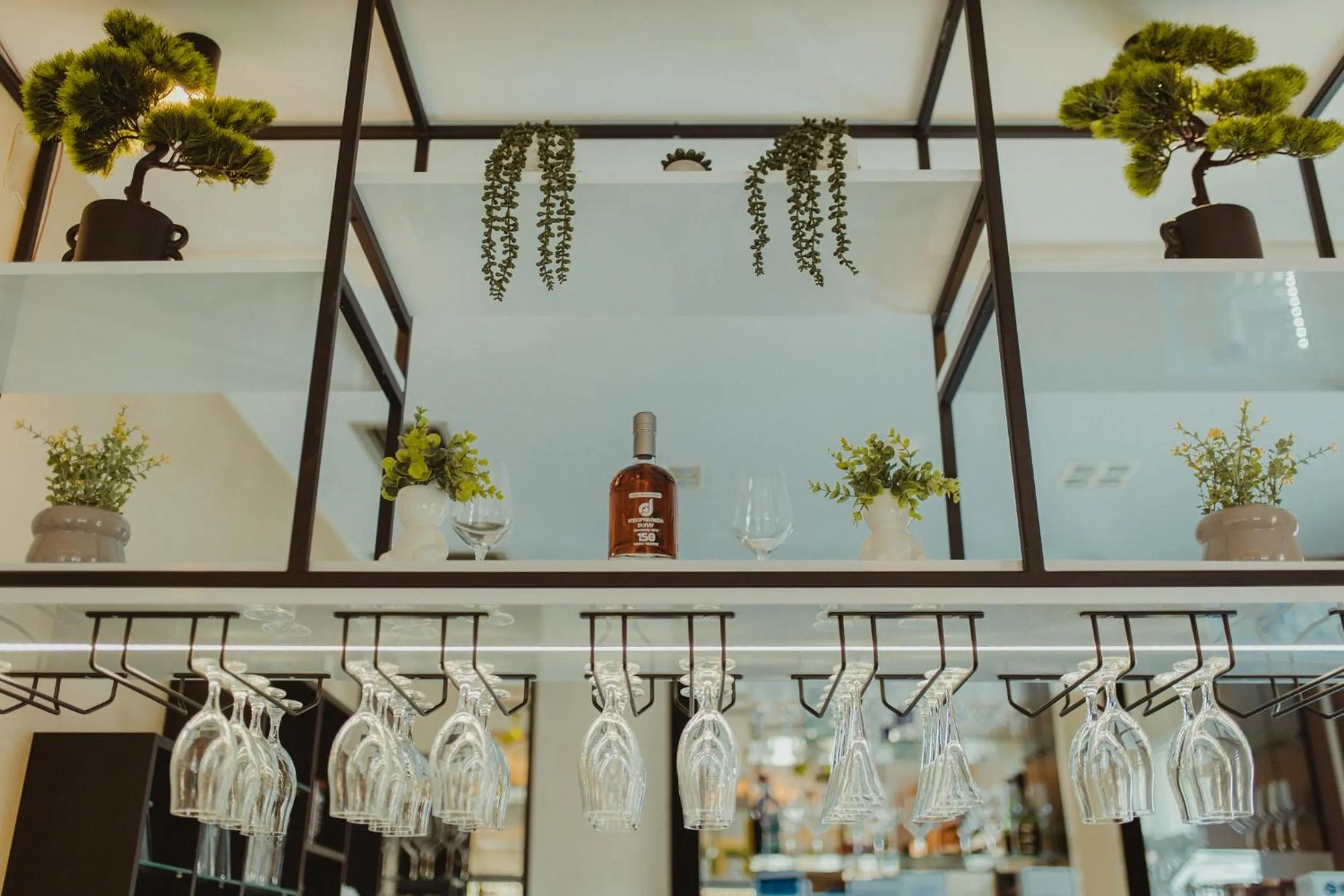 Drinks in Garni Hotel Biser