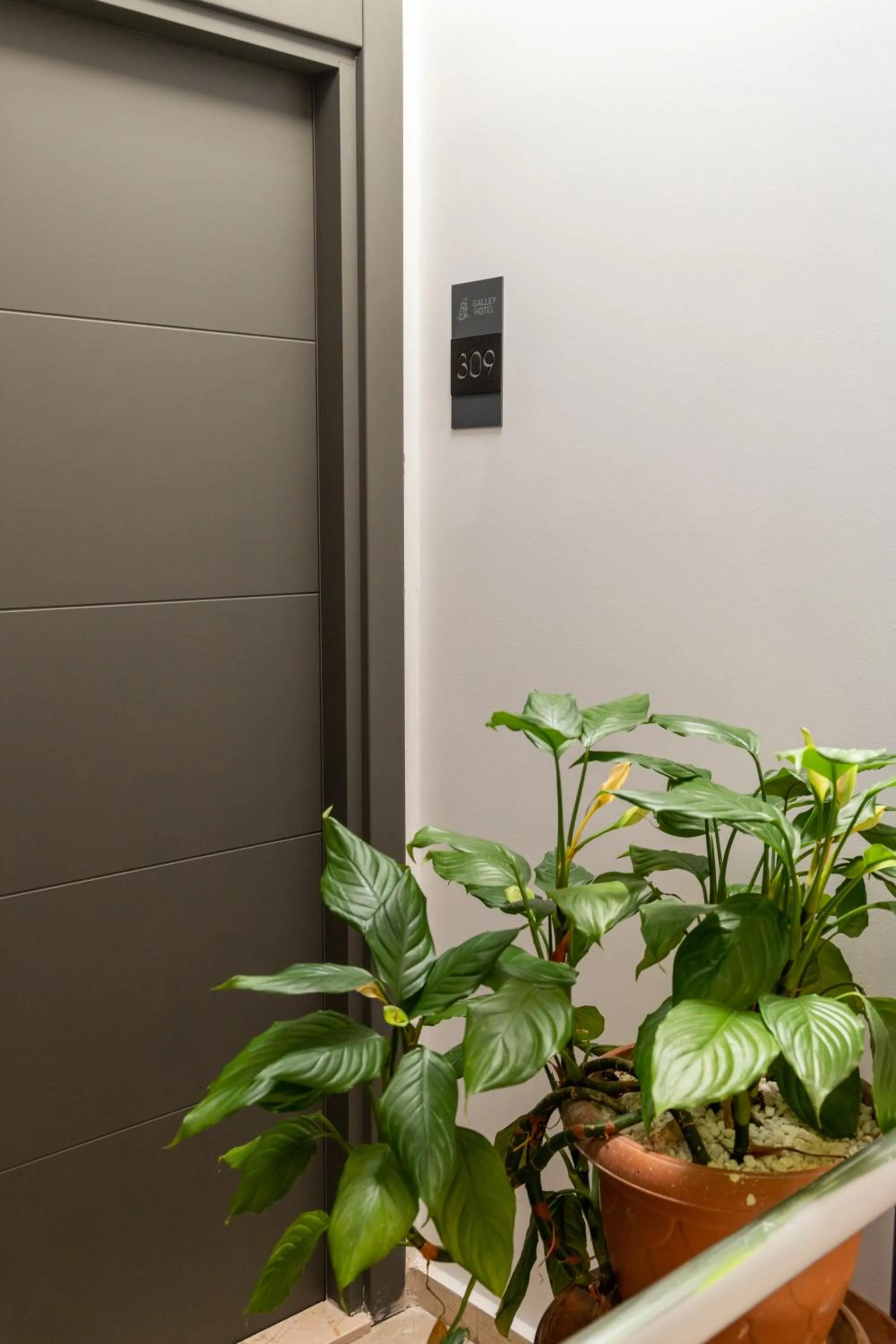 Floor plan in Galley Hotel