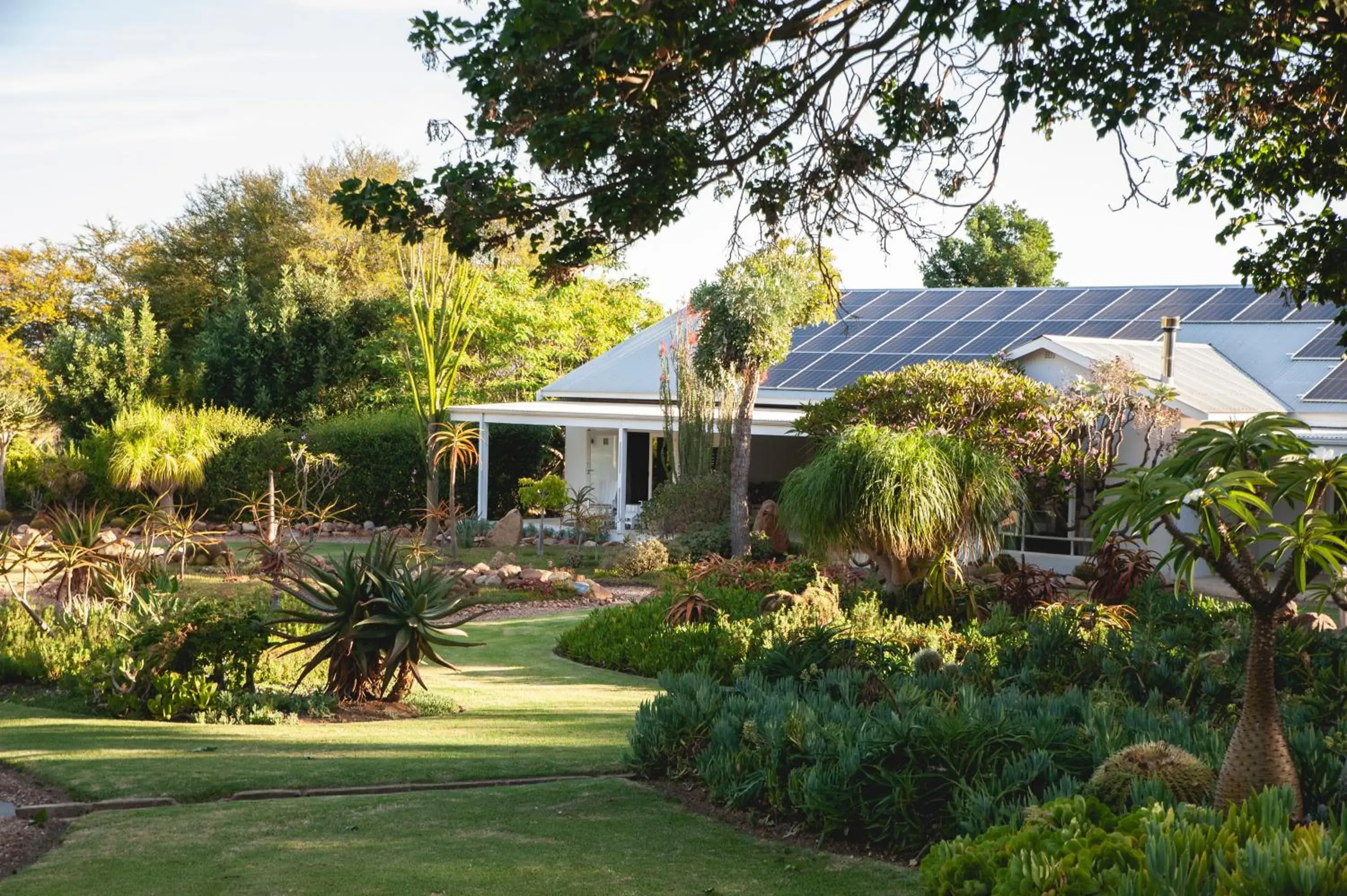 Mo & Rose's Nature Retreat Mo & Rose's Nature Retreat