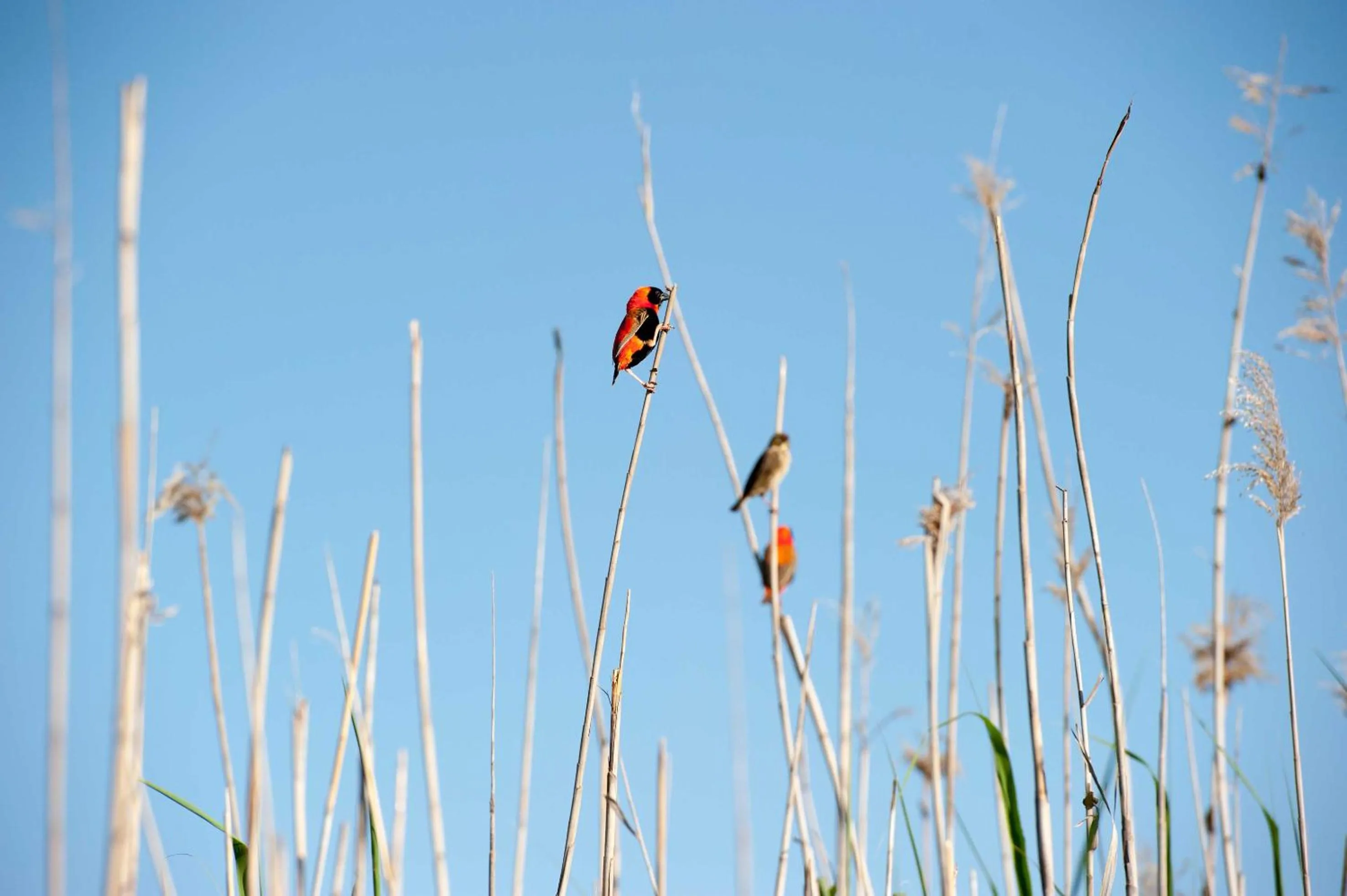 Garden in Mo & Rose's Nature Retreat