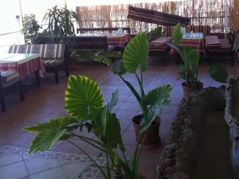 Balcony/Terrace in Denizhan Hotel