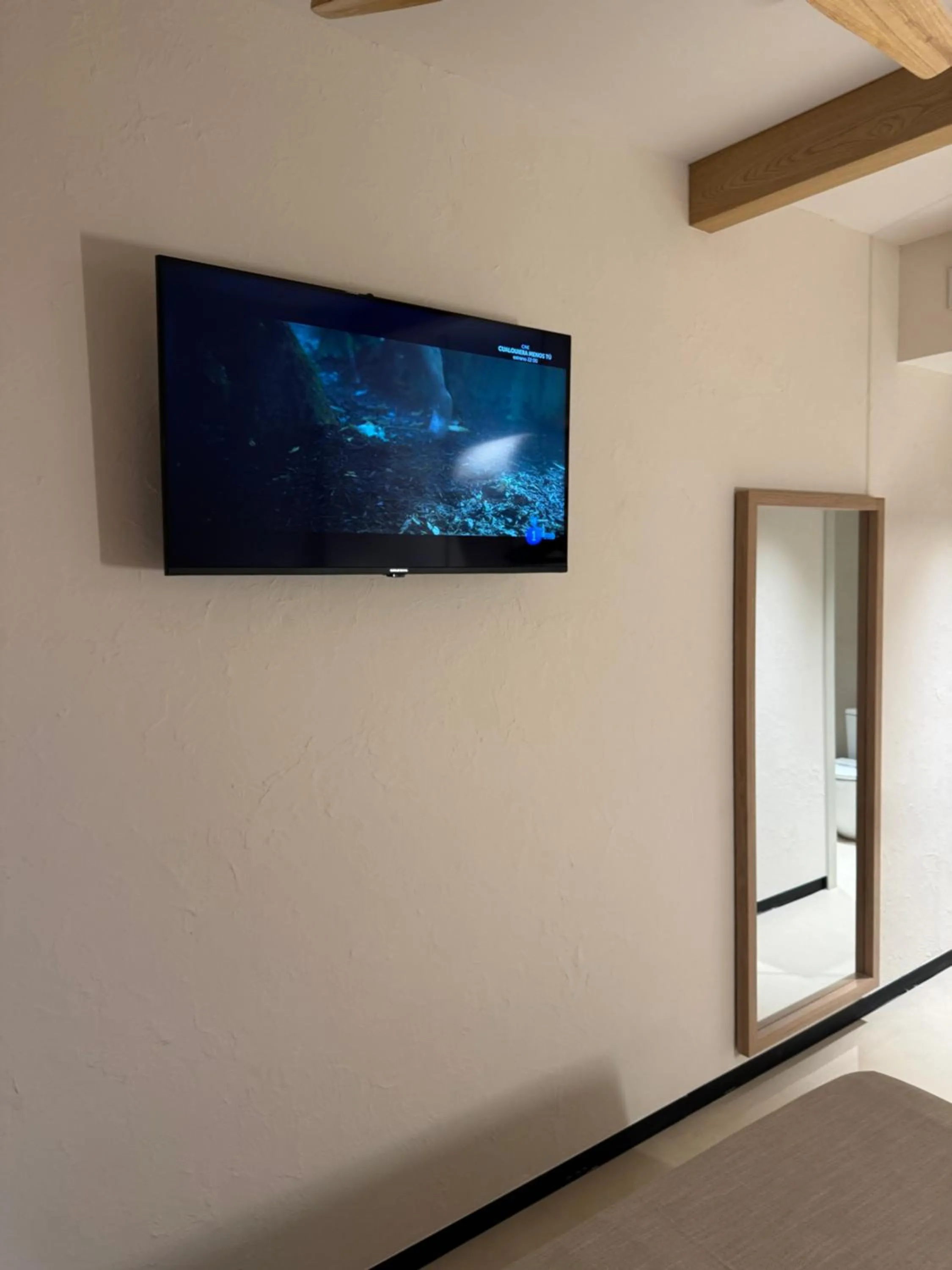 TV and multimedia in BELLADORA Hotel Boutique