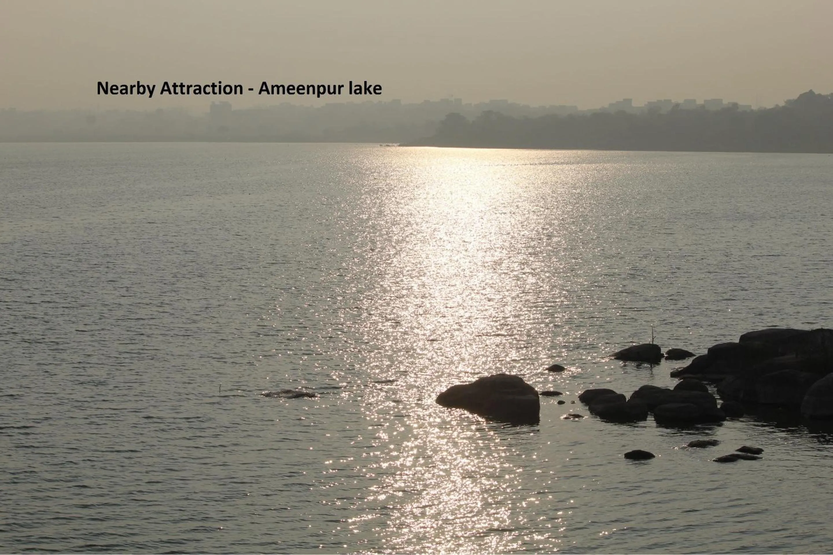 Collection O Millennium Grand